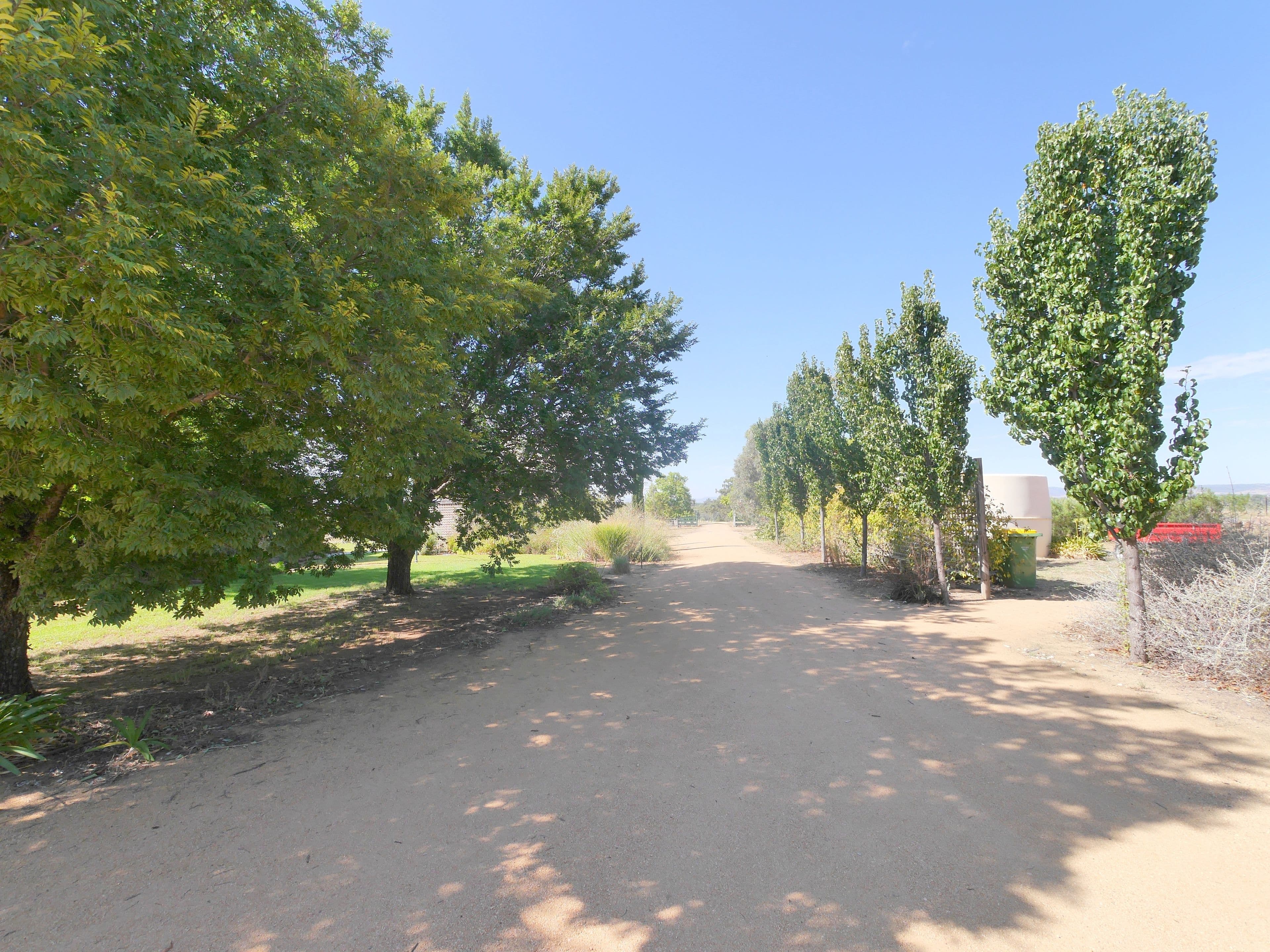 42 Delaneys Road, Cowra - Thumbnail 7