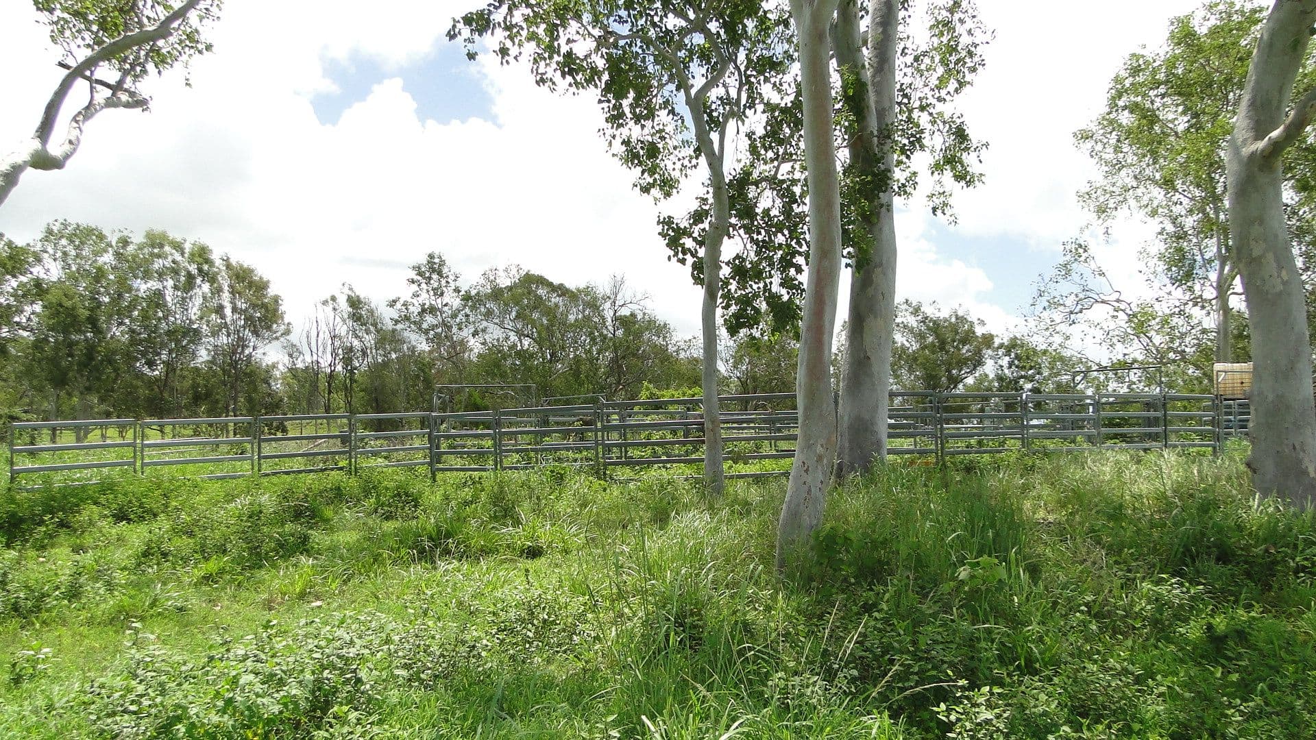 940 Mt Ossa-Seaforth Road, Seaforth QLD 4741, Seaforth - Thumbnail 4