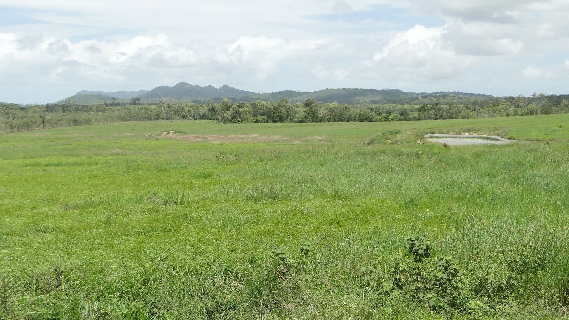 940 Mt Ossa-Seaforth Road, Seaforth QLD 4741, Seaforth - Thumbnail 6