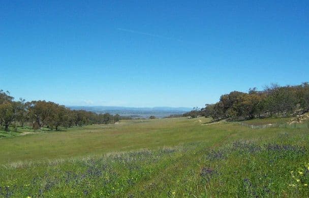 Lot 2 Irvine Road, Thoona VIC 3726, Thoona - Image 1
