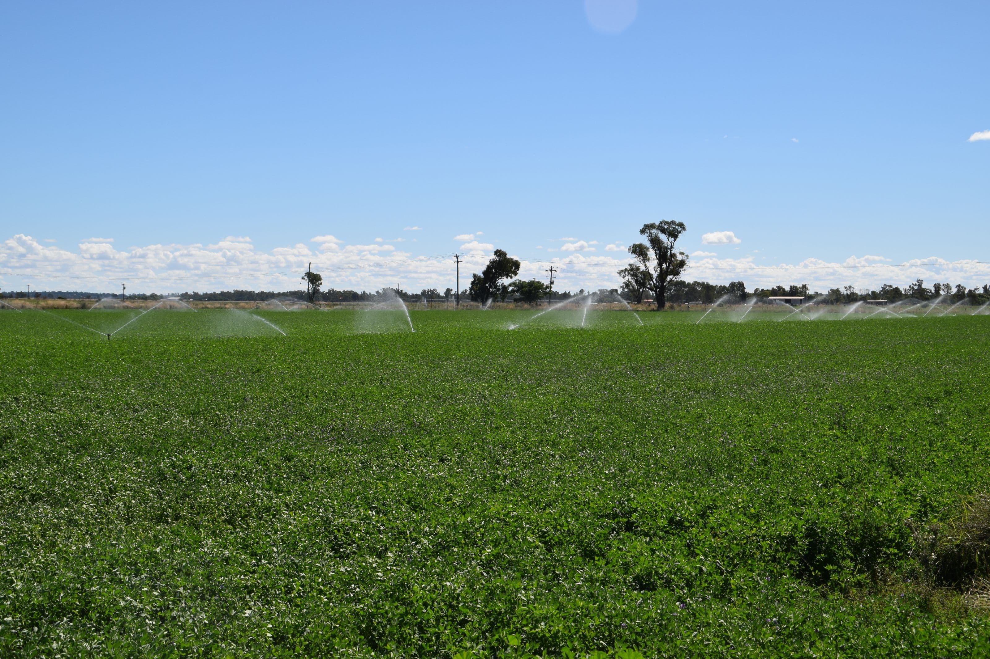 'Bunnalma' 14R Nulla Road, Dubbo NSW 2830, Dubbo - Thumbnail 3