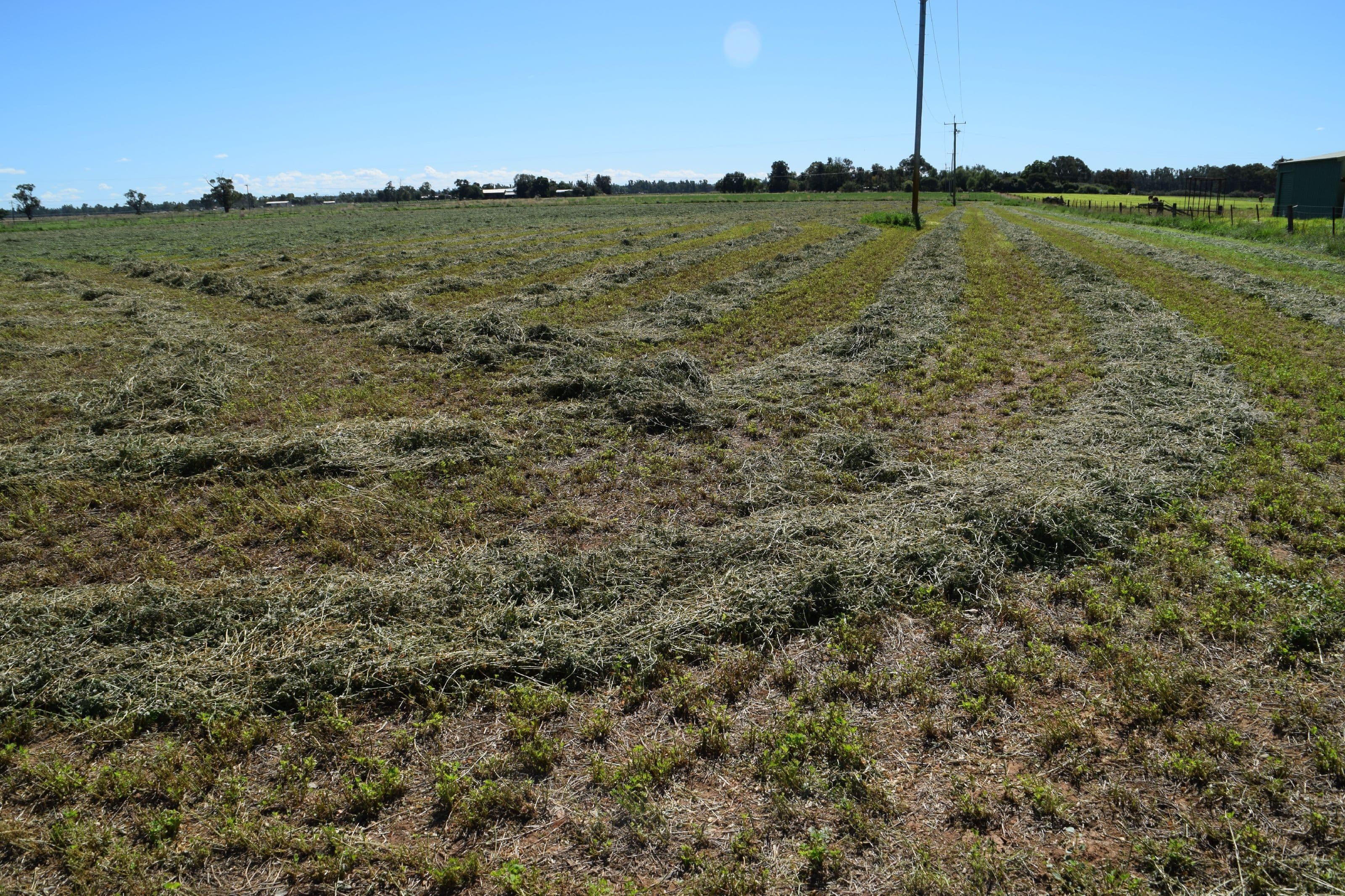 'Bunnalma' 14R Nulla Road, Dubbo NSW 2830, Dubbo - Thumbnail 6