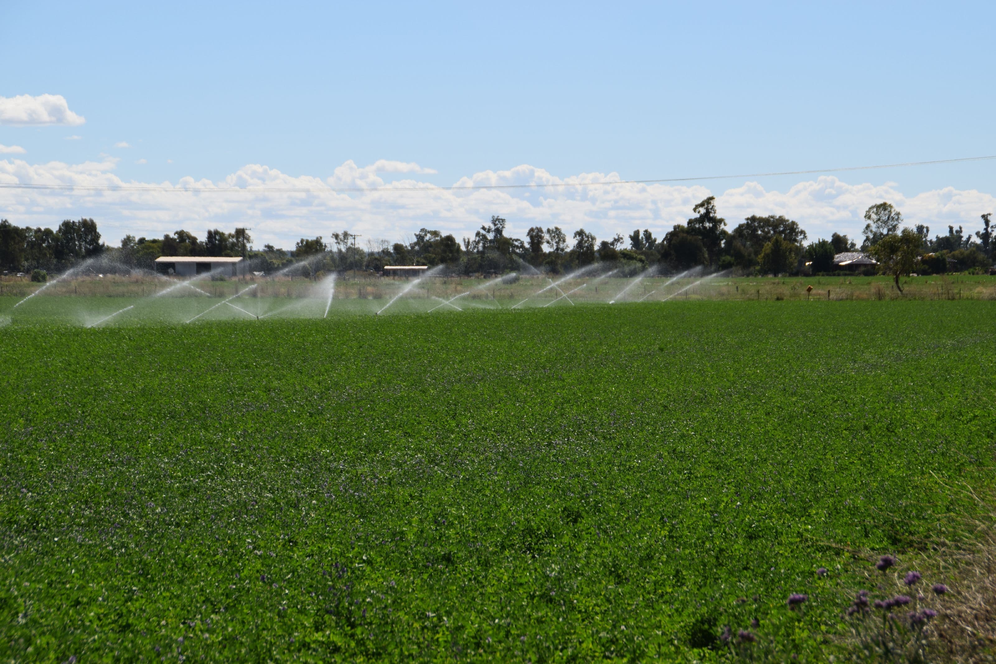 'Bunnalma' 14R Nulla Road, Dubbo NSW 2830, Dubbo - Thumbnail 2