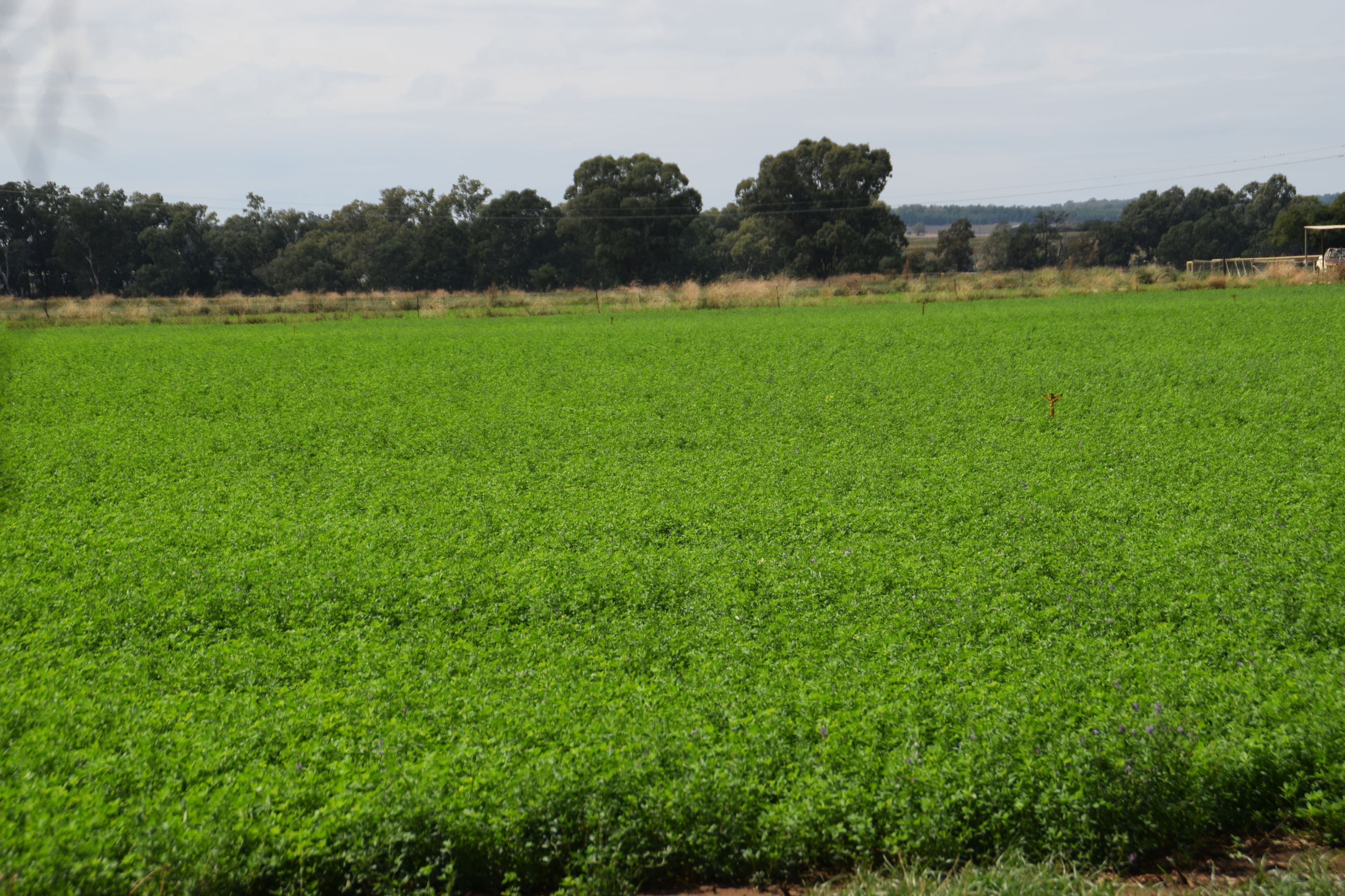 'Bunnalma' 14R Nulla Road, Dubbo NSW 2830, Dubbo - Thumbnail 5