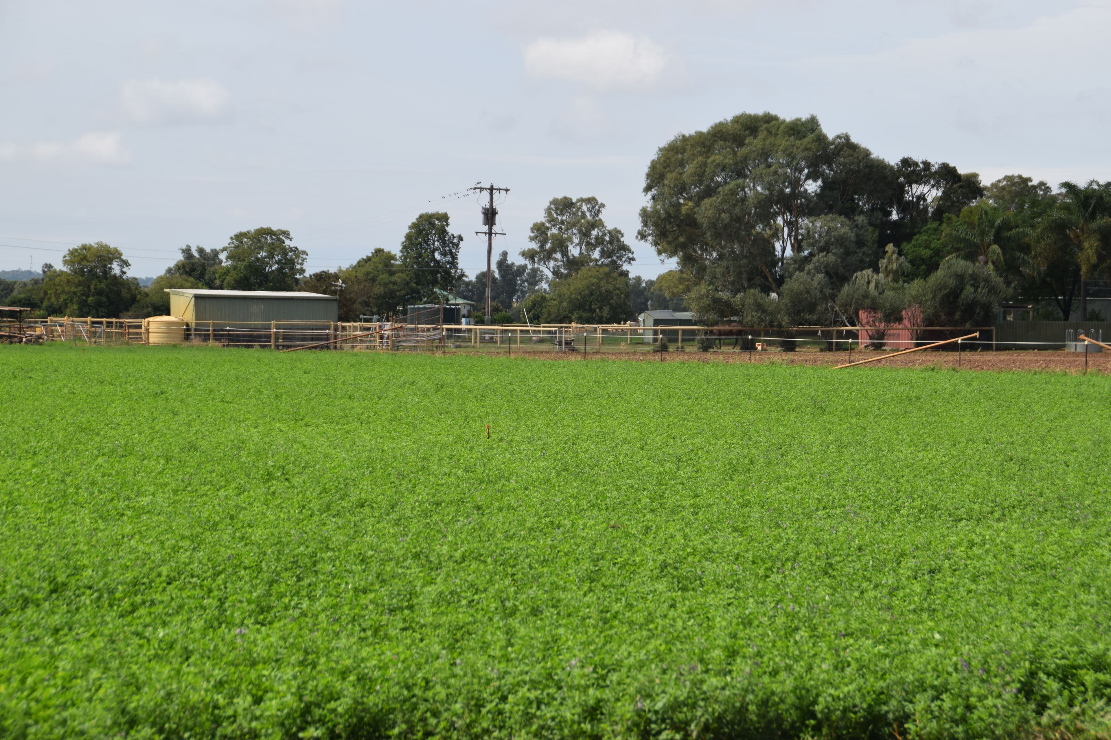 'Bunnalma' 14R Nulla Road, Dubbo NSW 2830, Dubbo - Thumbnail 4