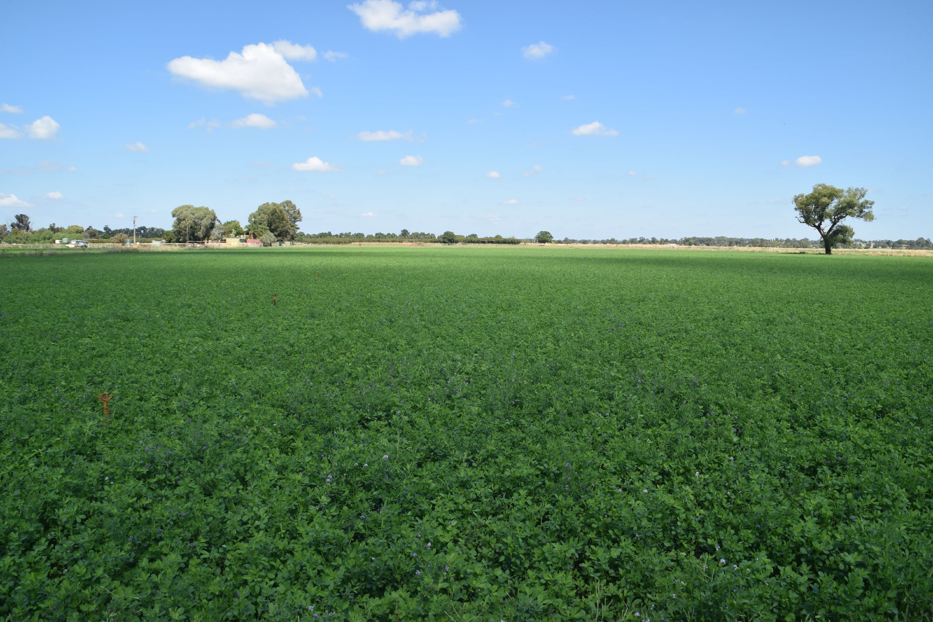 'Bunnalma' 14R Nulla Road, Dubbo NSW 2830, Dubbo - Image 1