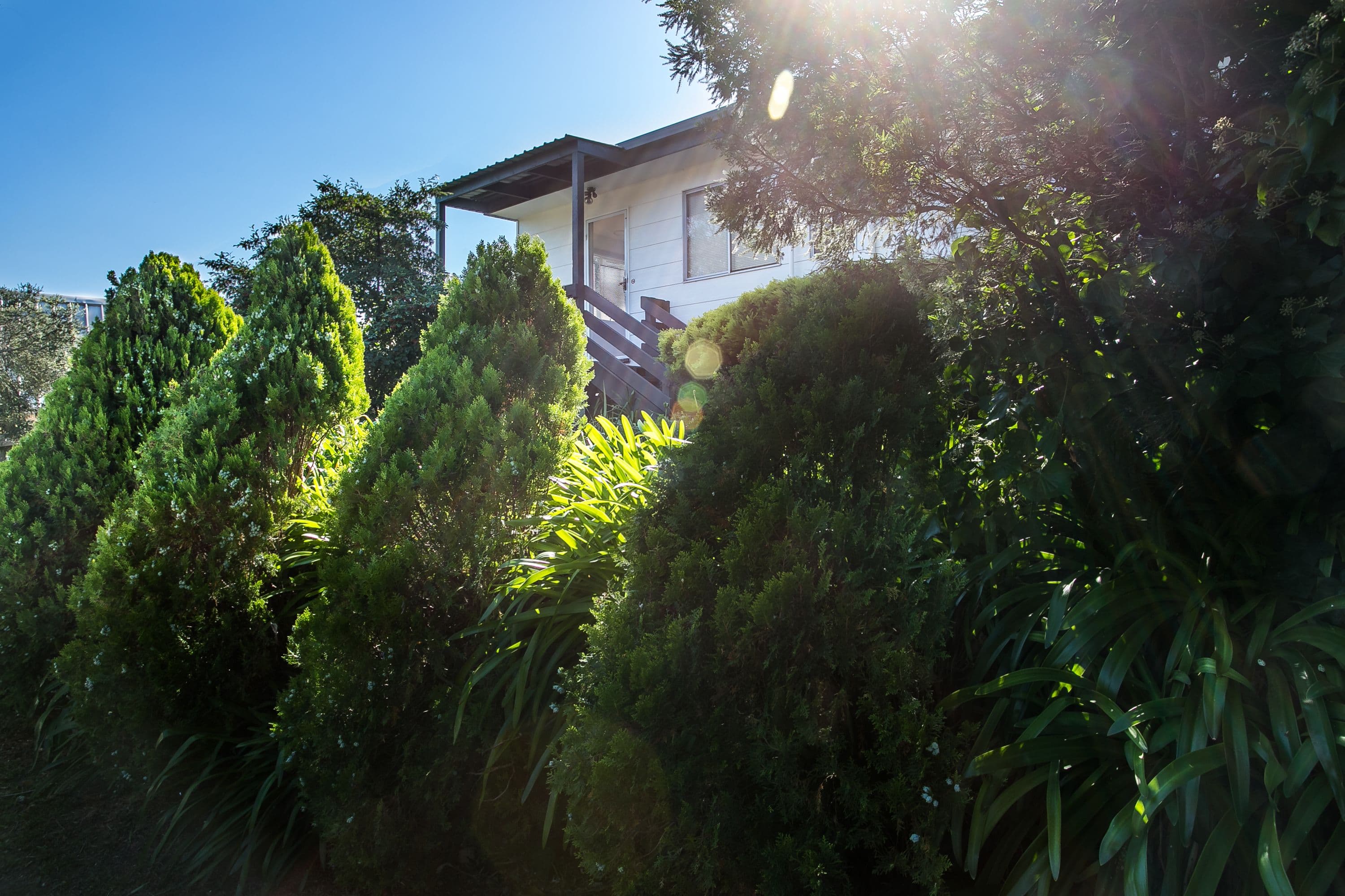 12 Yarrayne Street, Rye VIC 3941, Rye - Image 1