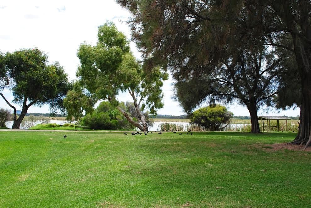 15 Flynn Street, Churchlands WA 6018, Churchlands - Image 1