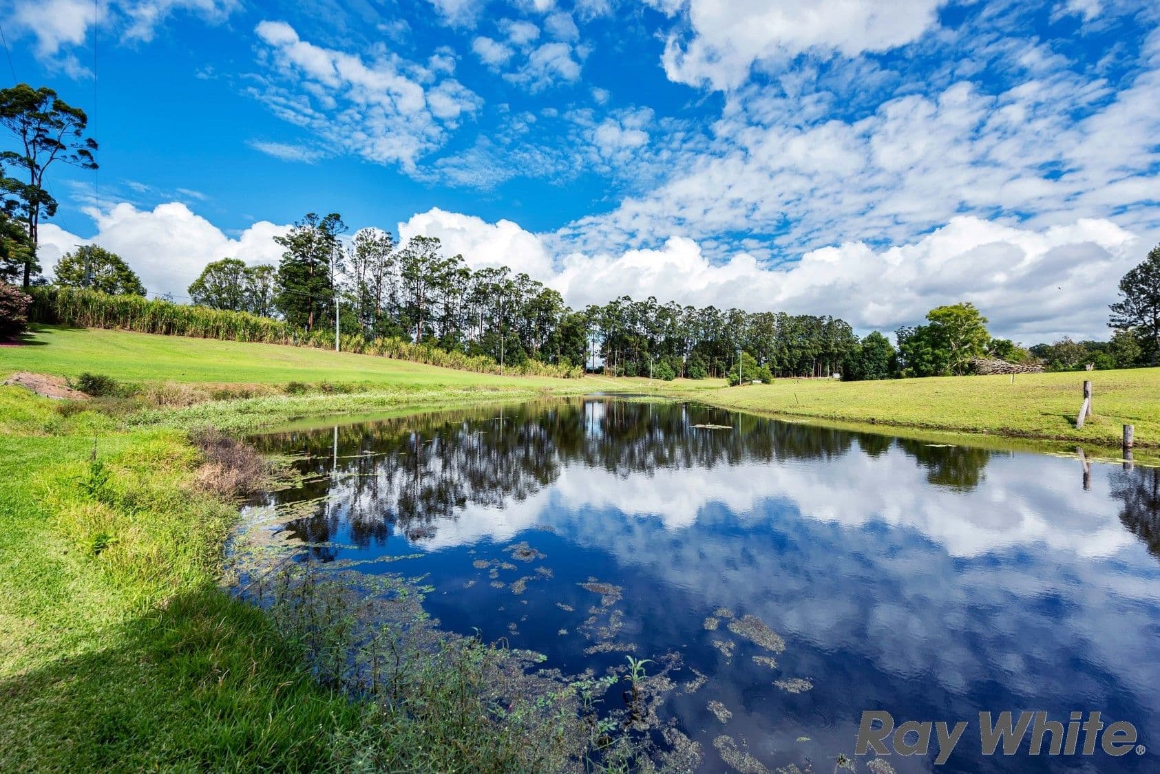 Curramore QLD 4552, Curramore - Thumbnail 5