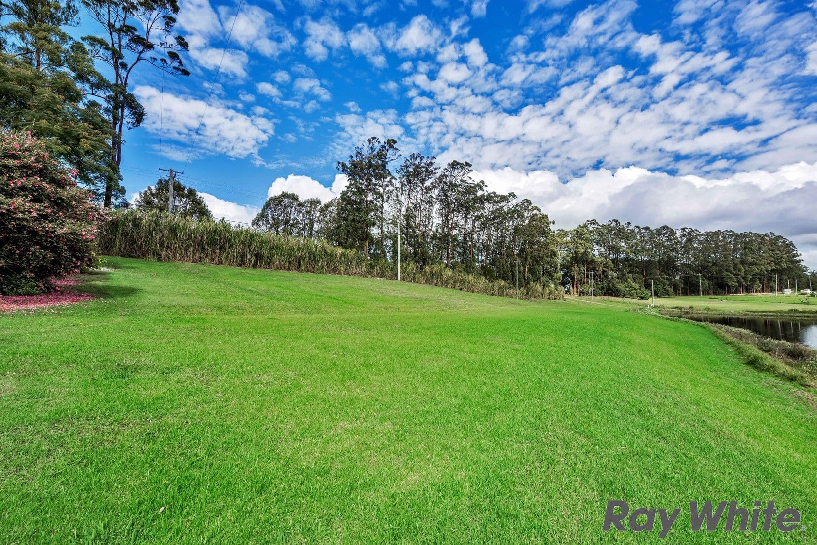 Curramore QLD 4552, Curramore - Thumbnail 4