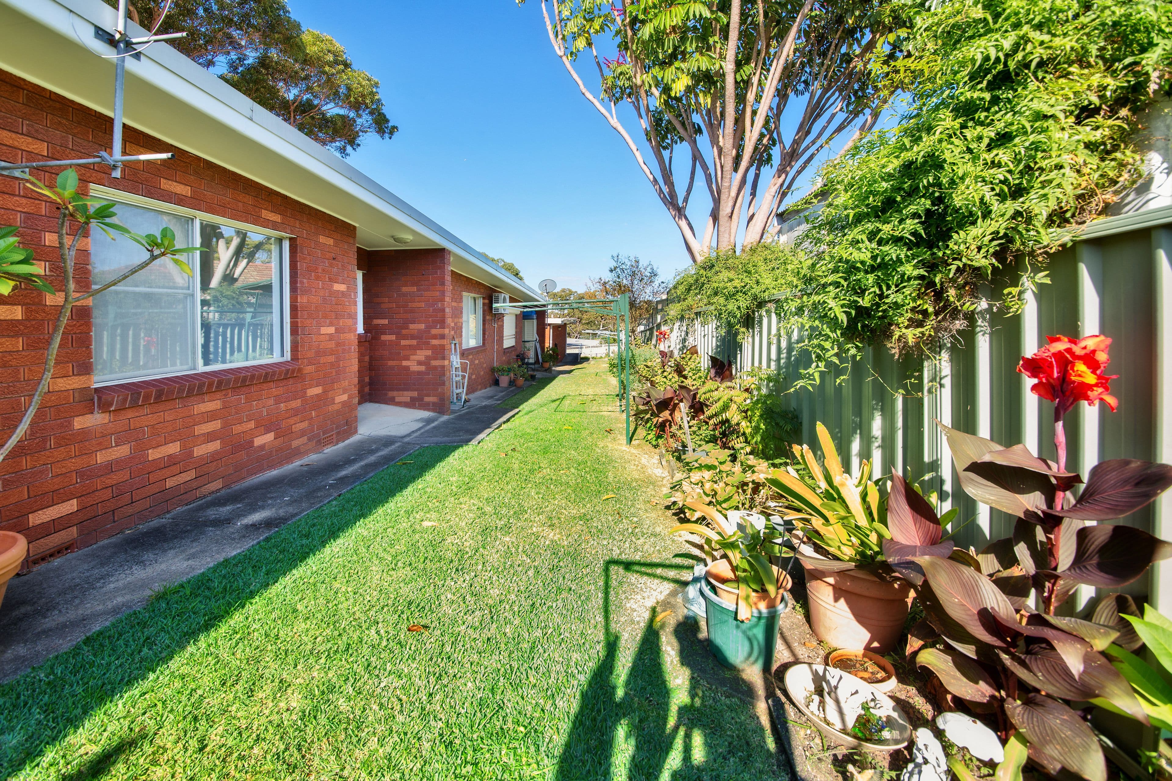 29 Corella Road, Kirrawee NSW 2232, Kirrawee - Thumbnail 5