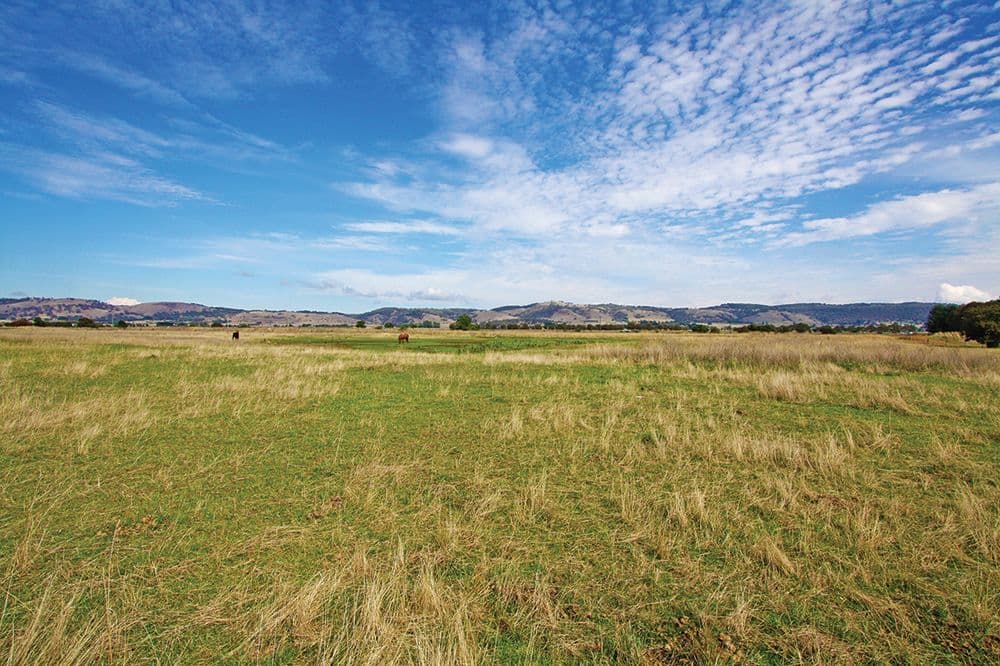 Lot 1 Halfway Creek, BUNGENDORE NSW 2621, Bungendore - Image 1