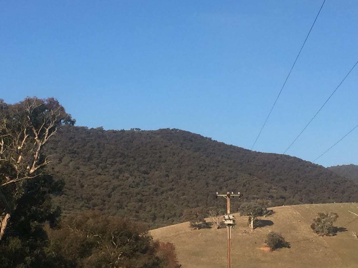 5980 Batlow Road, Tumut NSW 2720, Tumut - Image 1