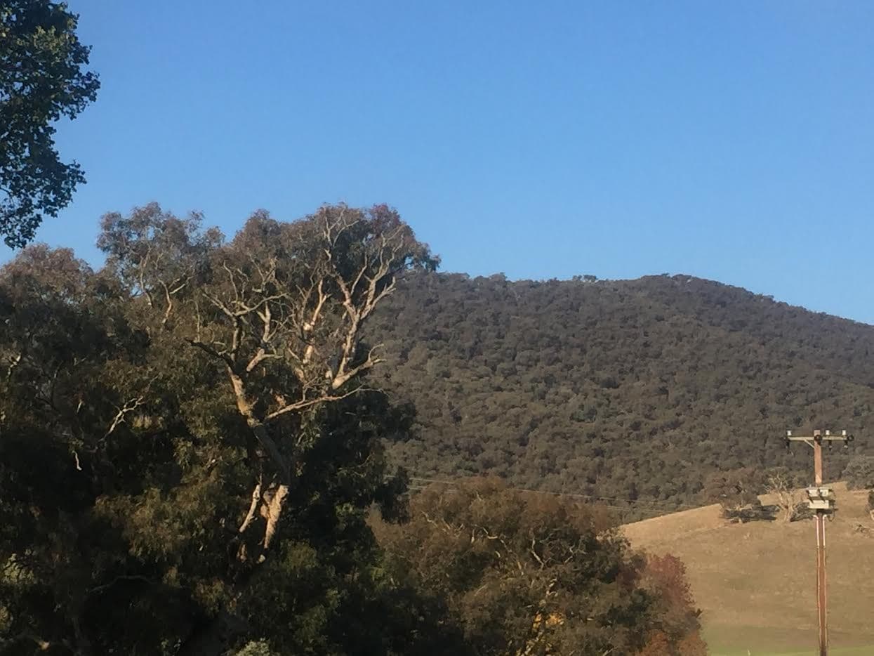 5980 Batlow Road, Tumut NSW 2720, Tumut - Thumbnail 2