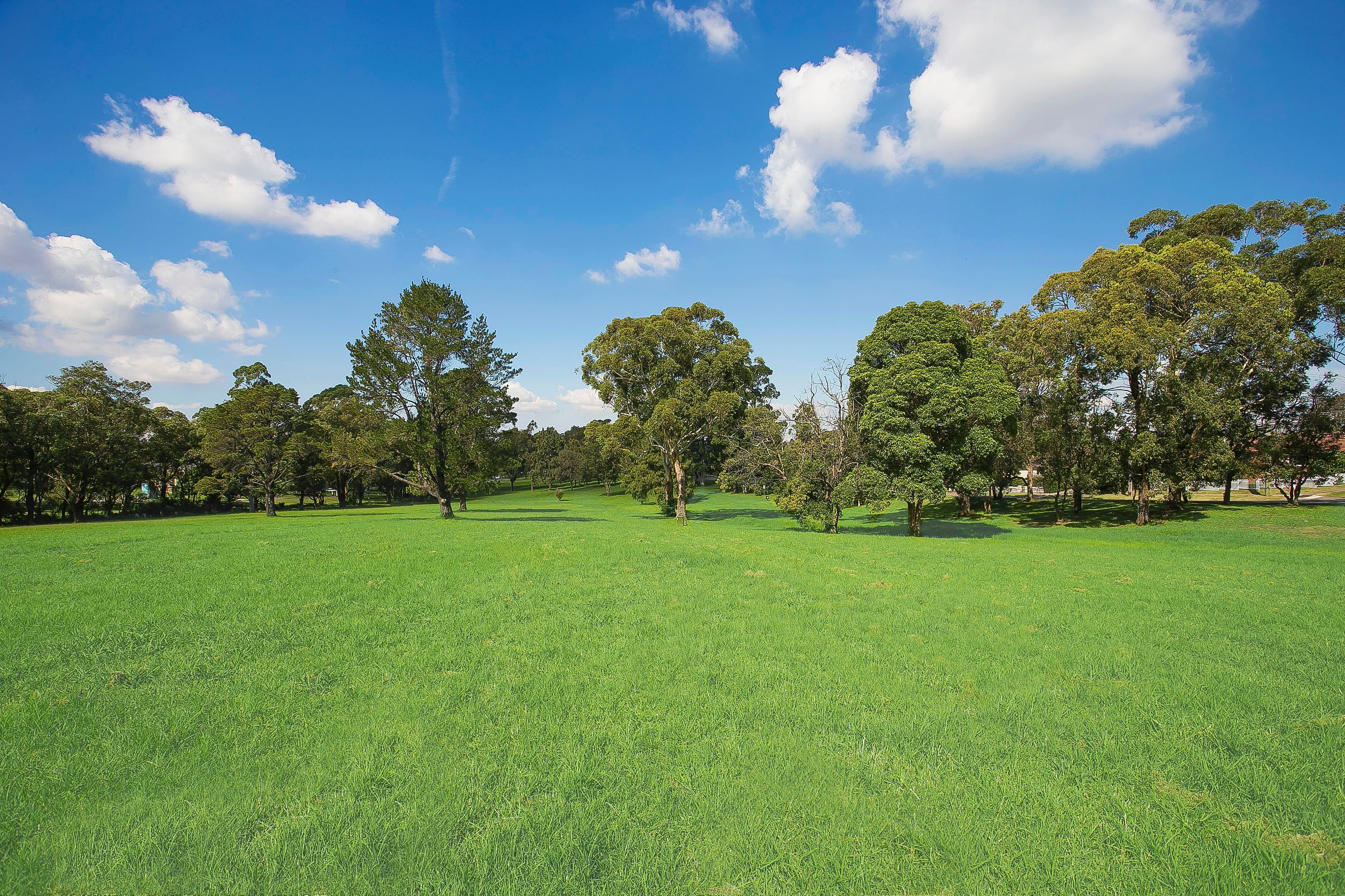 76 Twin Road, North Ryde - Thumbnail 6