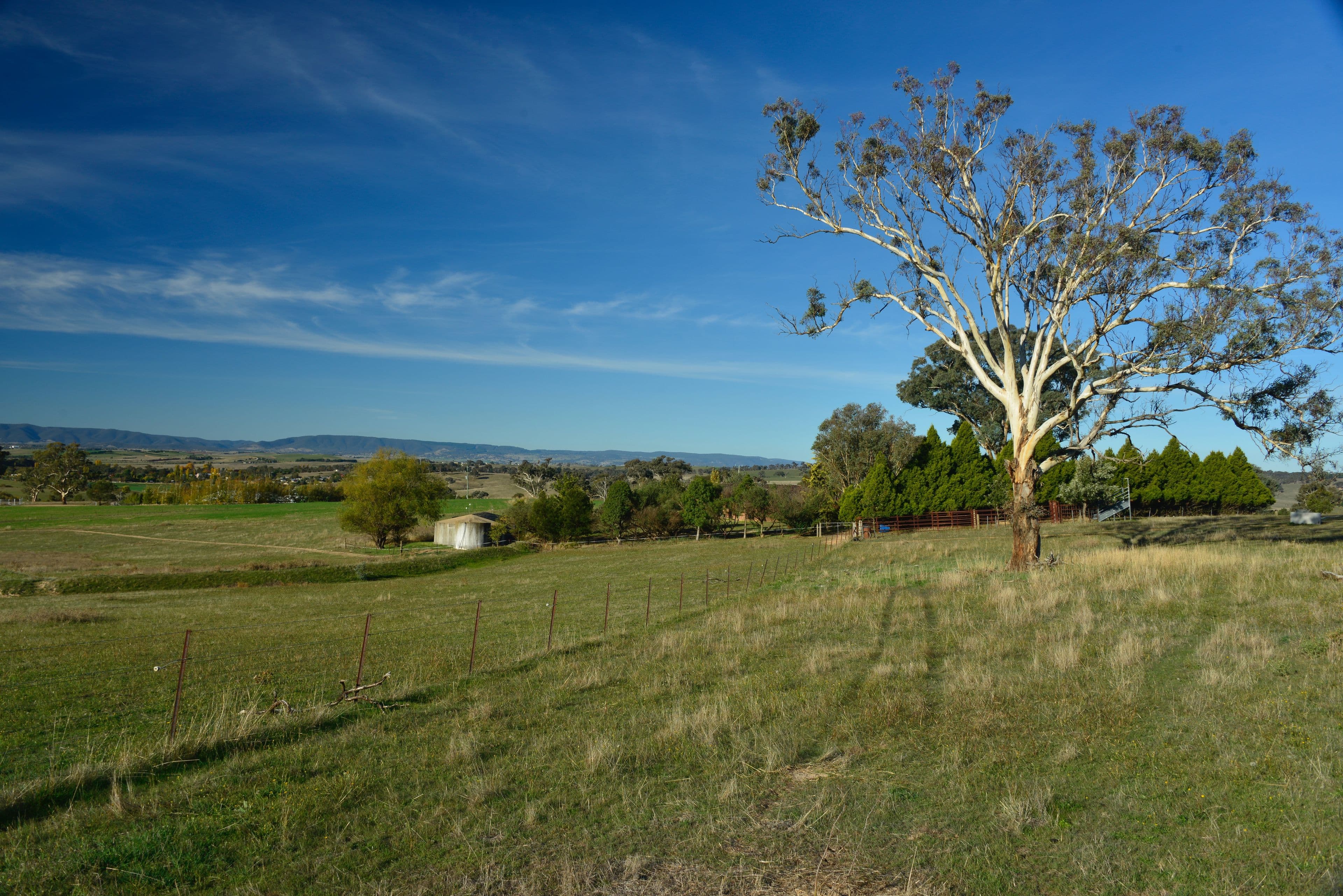 Georges Plains NSW 2795, Georges Plains - Thumbnail 4