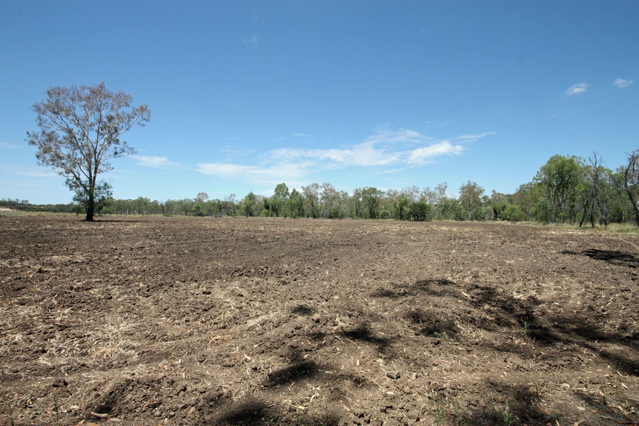 Lot 2 State Farm Road, Biloela QLD 4715, Biloela - Thumbnail 2
