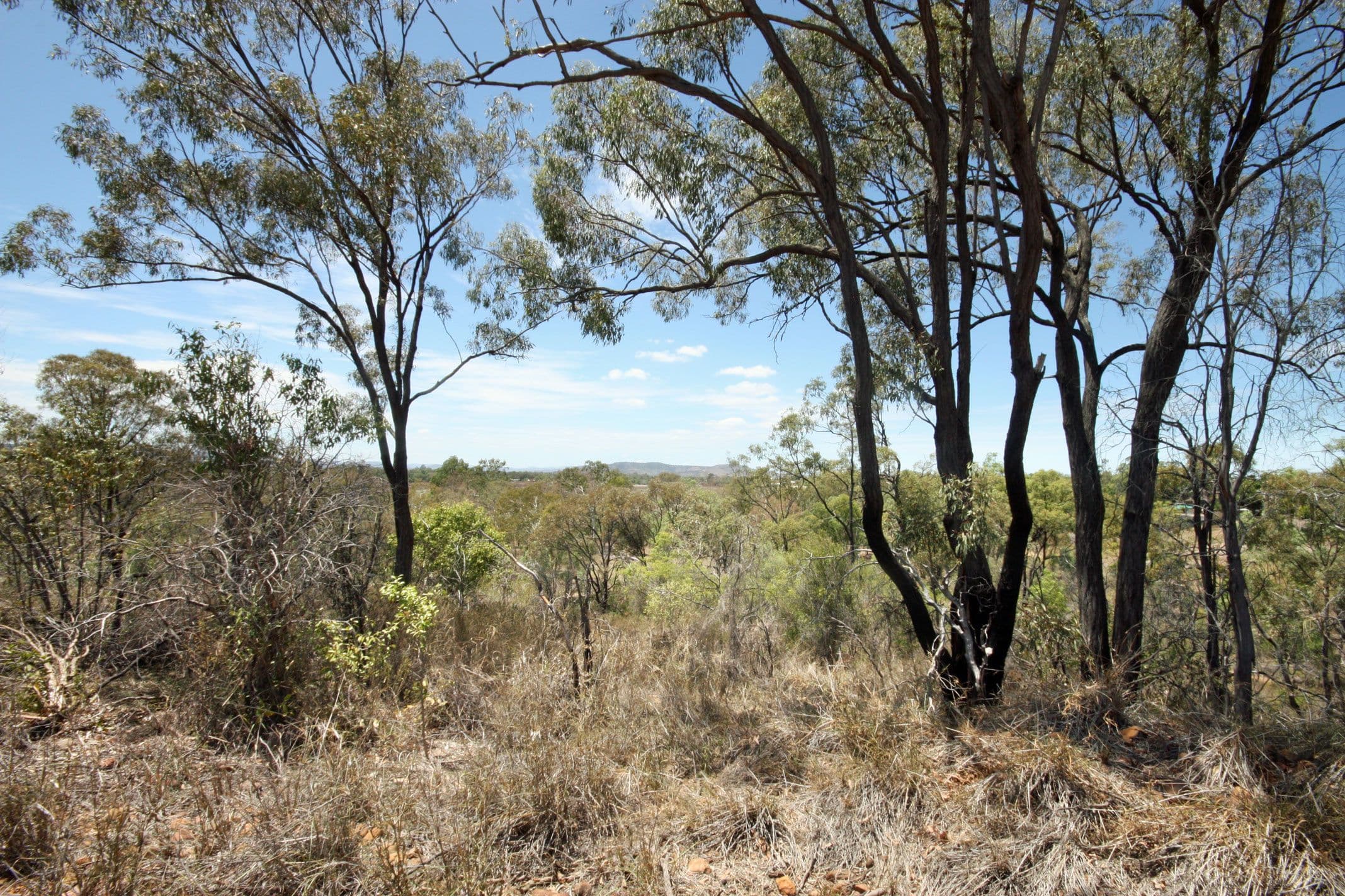 Lot 2 State Farm Road, Biloela QLD 4715, Biloela - Thumbnail 3