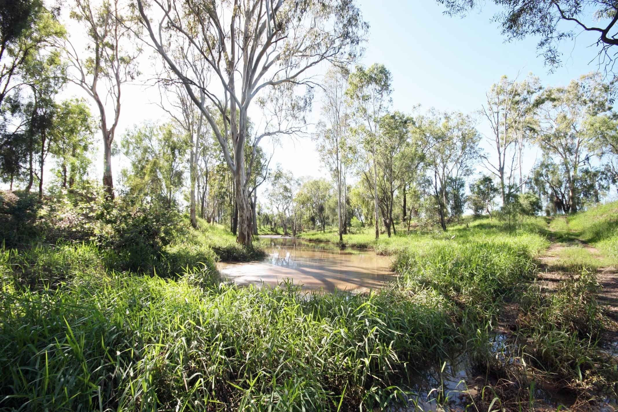 Lot 2 State Farm Road, Biloela QLD 4715, Biloela - Thumbnail 4