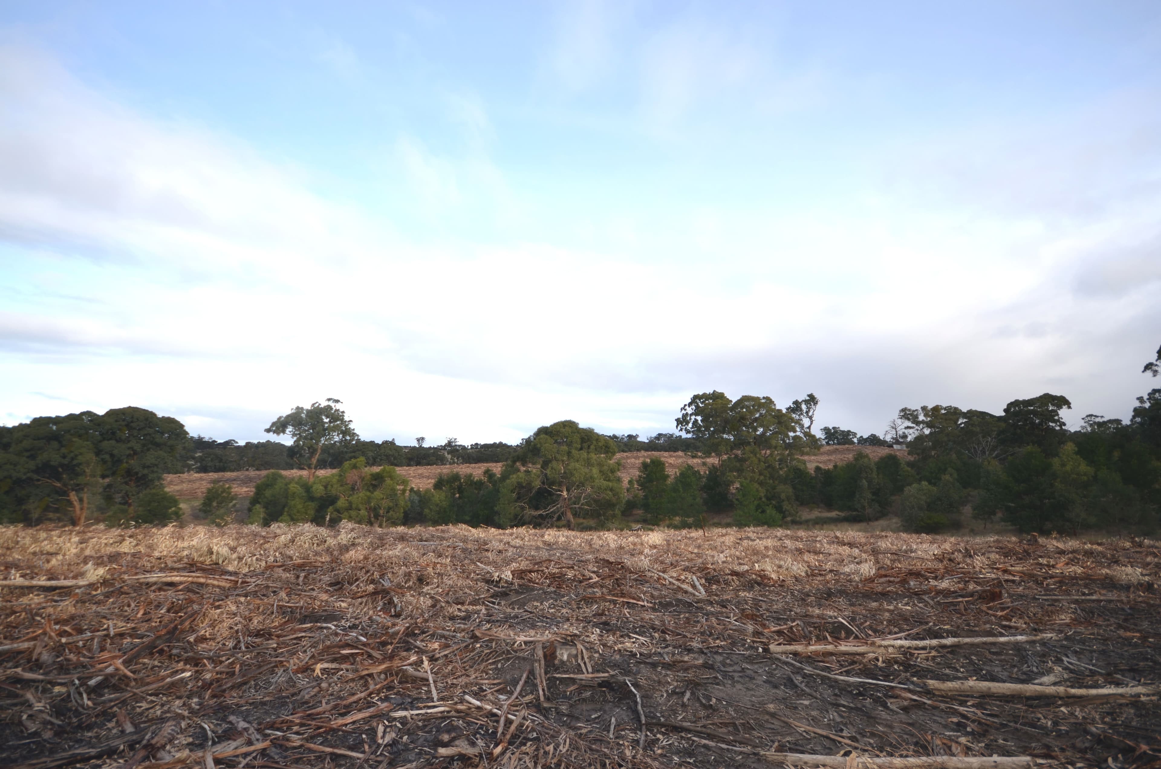 Lot 1/"Lewis" Colonial Road, BUANGOR  Victoria  3375, Australia, Buangor - Thumbnail 6
