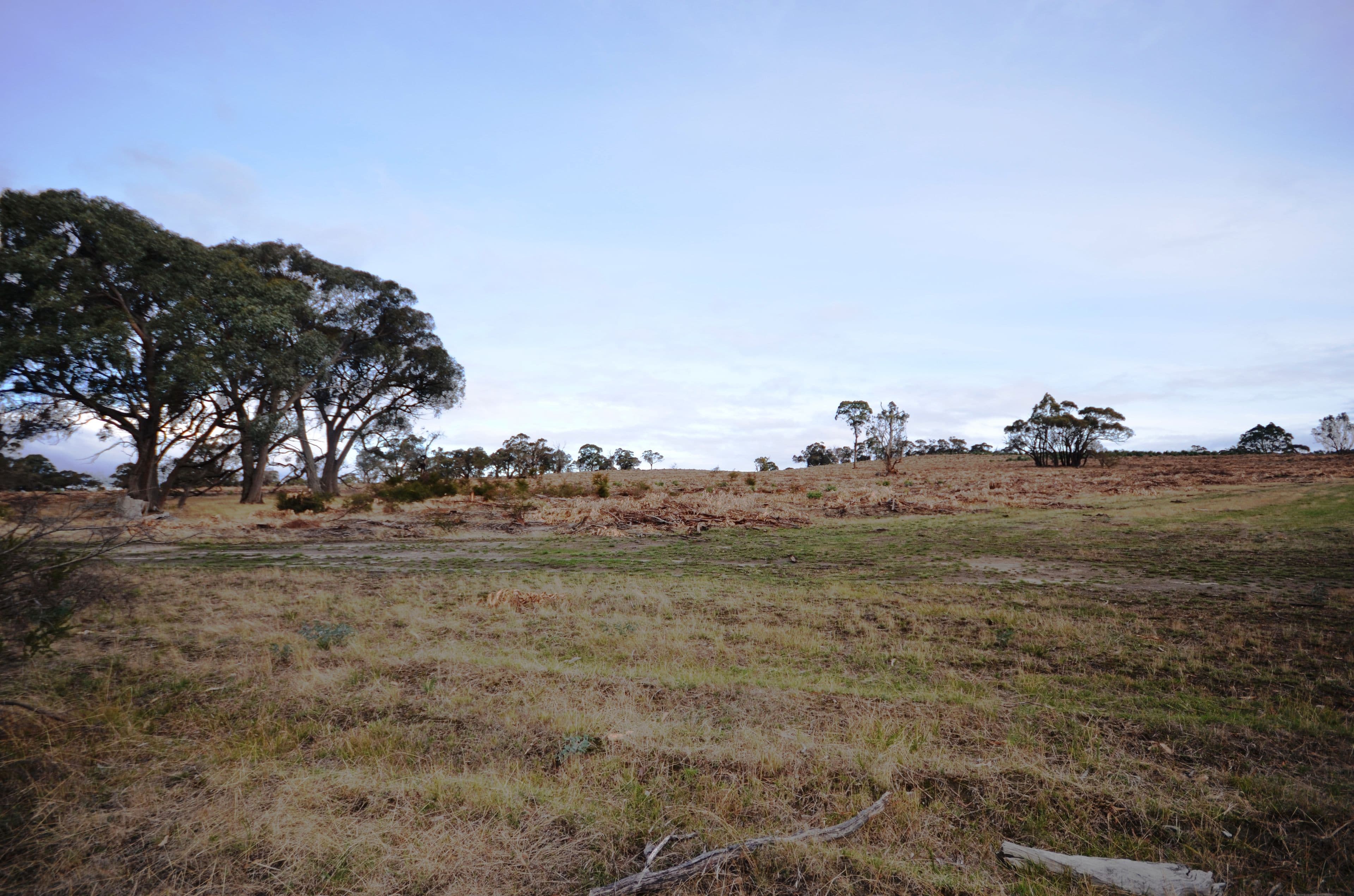 Lot 1/"Lewis" Colonial Road, BUANGOR  Victoria  3375, Australia, Buangor - Thumbnail 3