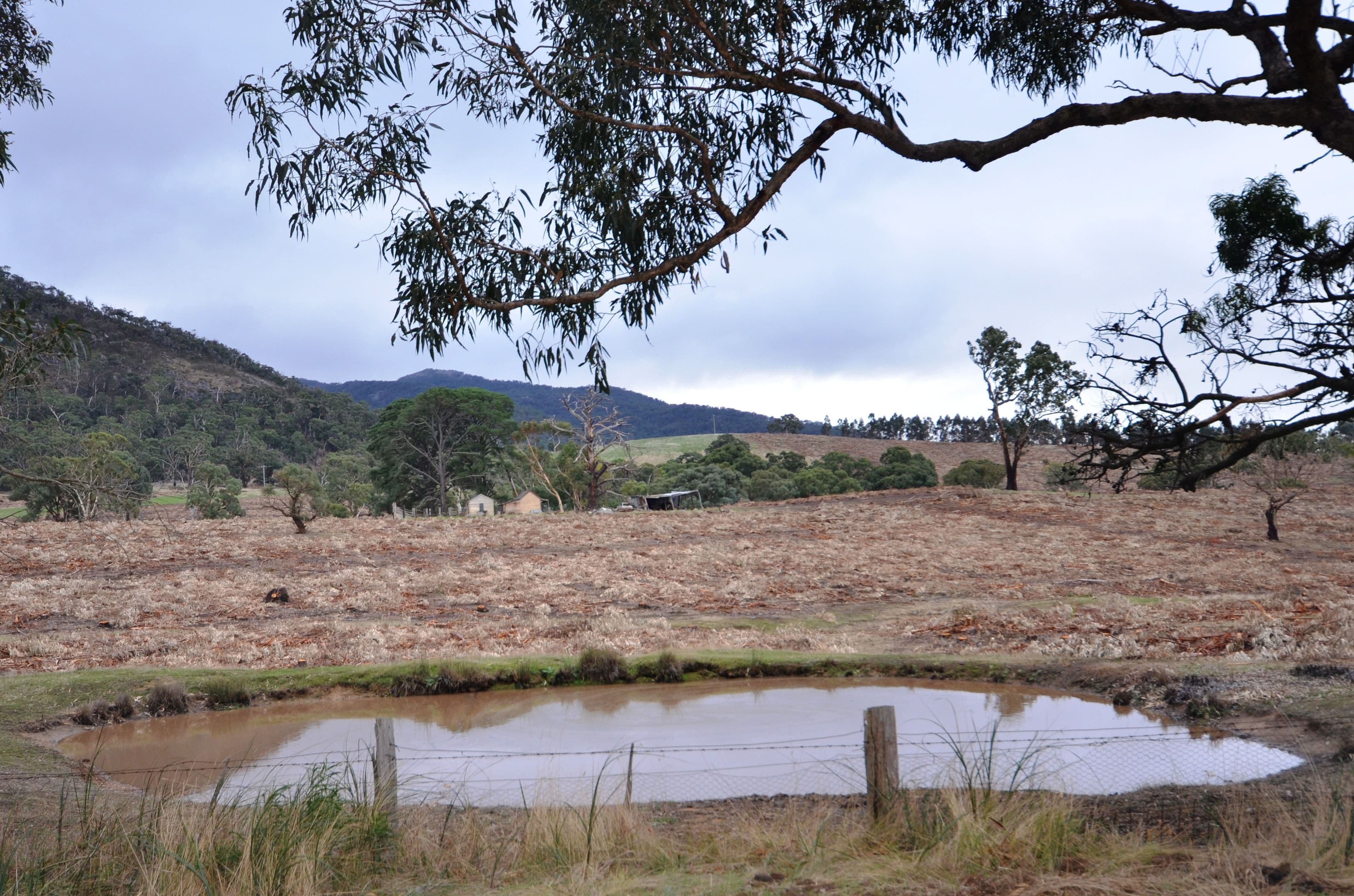 Lot 1/"Lewis" Colonial Road, BUANGOR  Victoria  3375, Australia, Buangor - Image 1