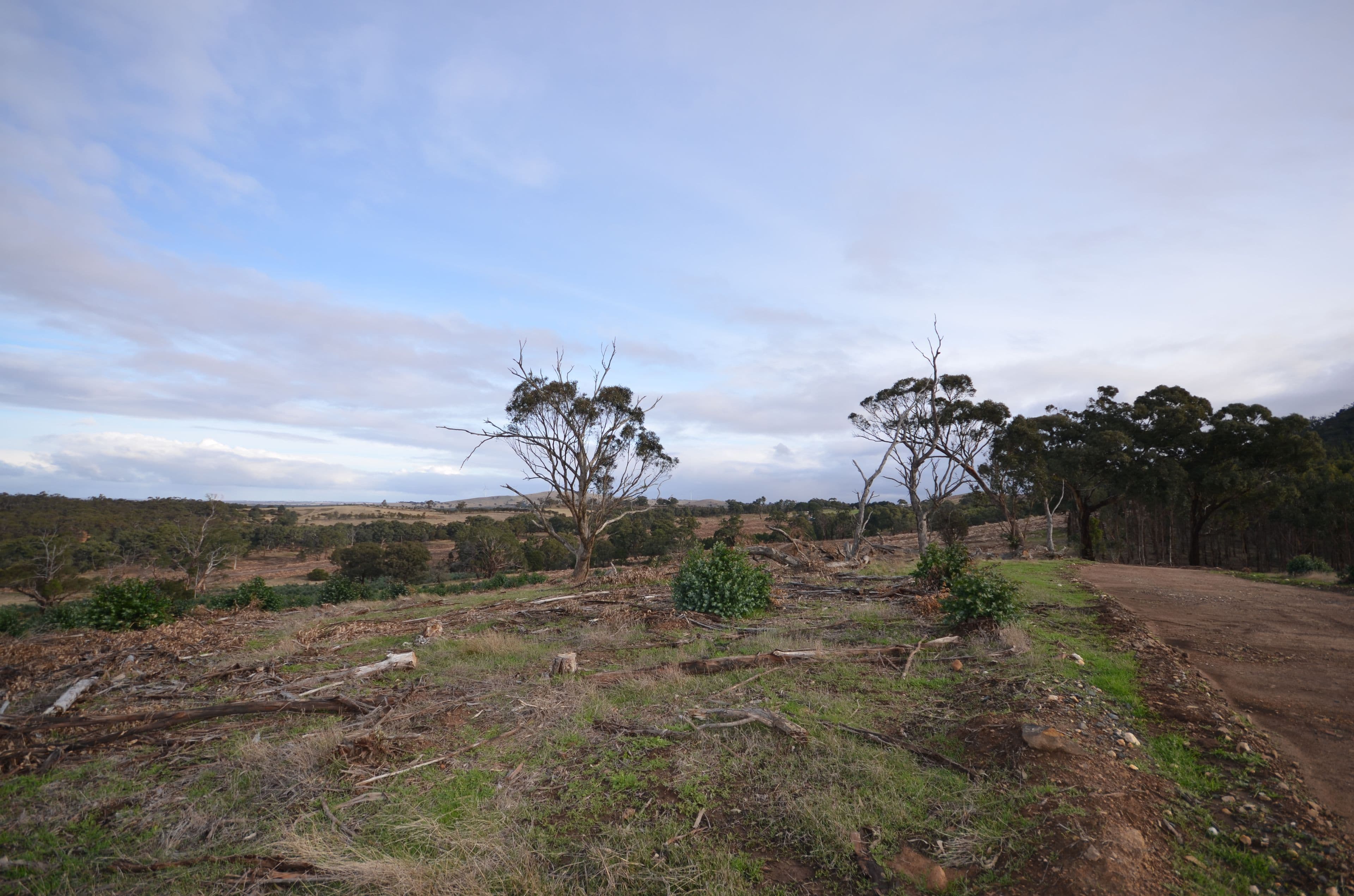 Lot 1/"Lewis" Colonial Road, BUANGOR  Victoria  3375, Australia, Buangor - Thumbnail 5