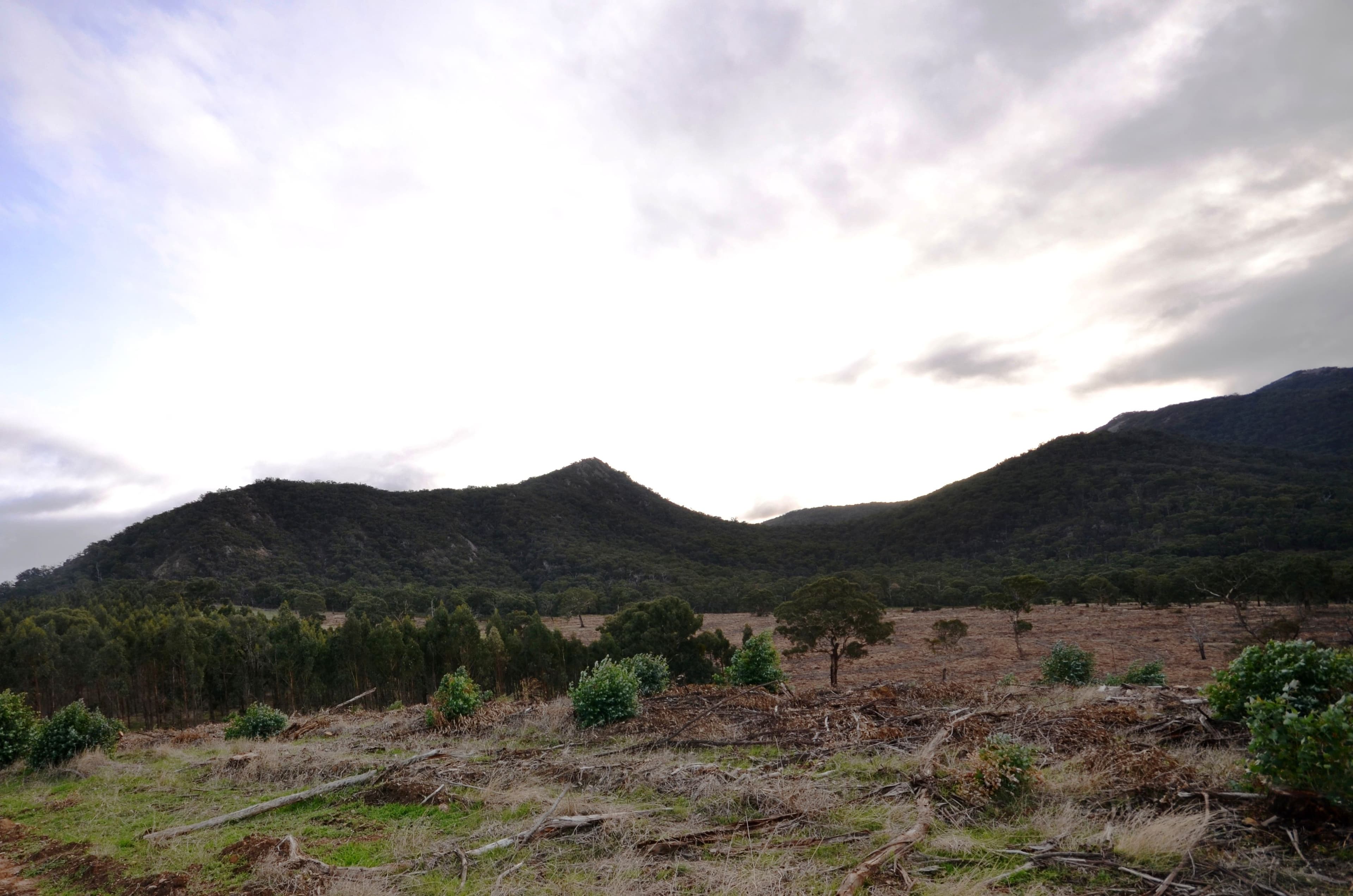 Lot 1/"Lewis" Colonial Road, BUANGOR  Victoria  3375, Australia, Buangor - Thumbnail 2