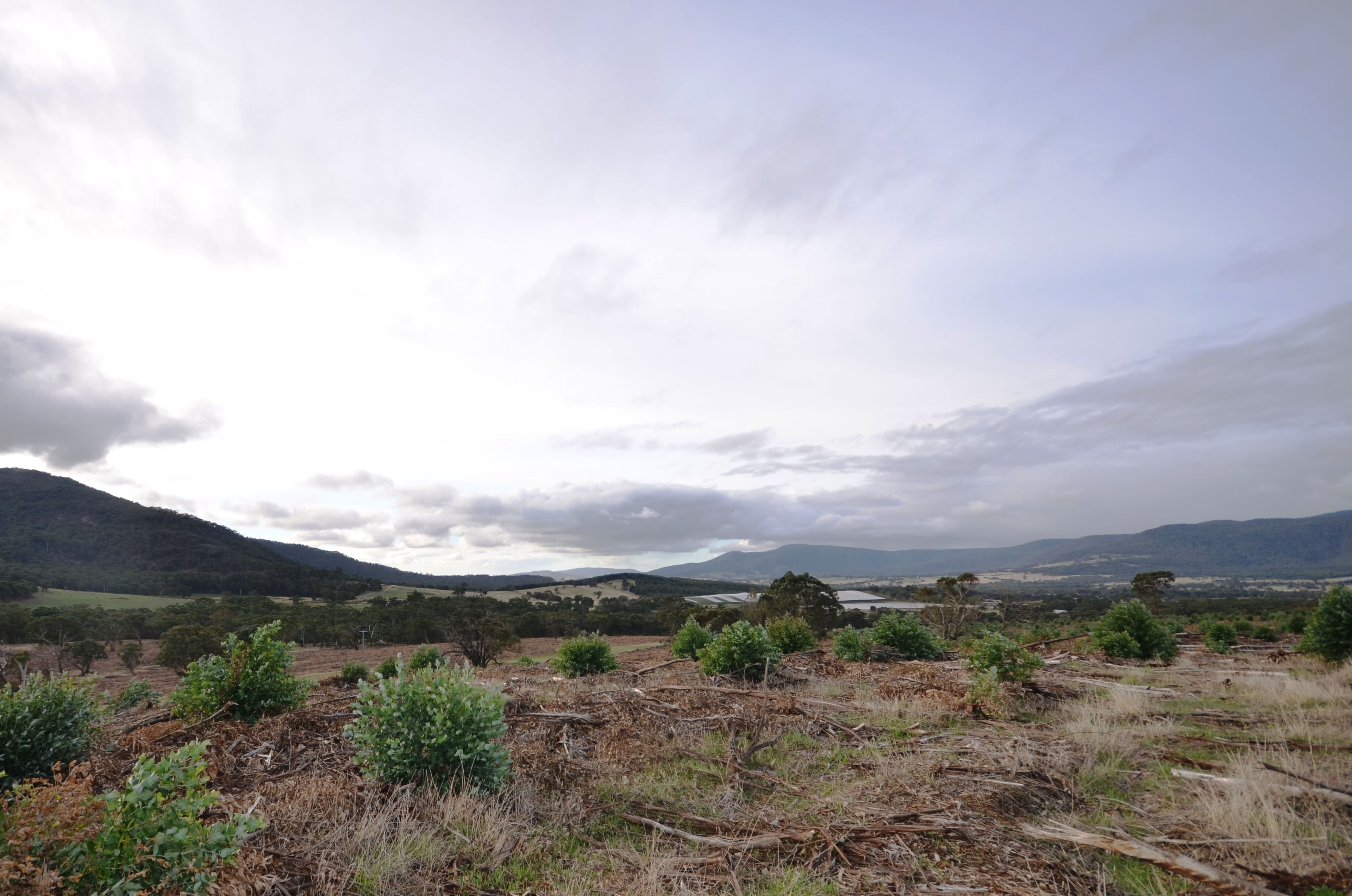 Lot 1/"Lewis" Colonial Road, BUANGOR  Victoria  3375, Australia, Buangor - Thumbnail 8