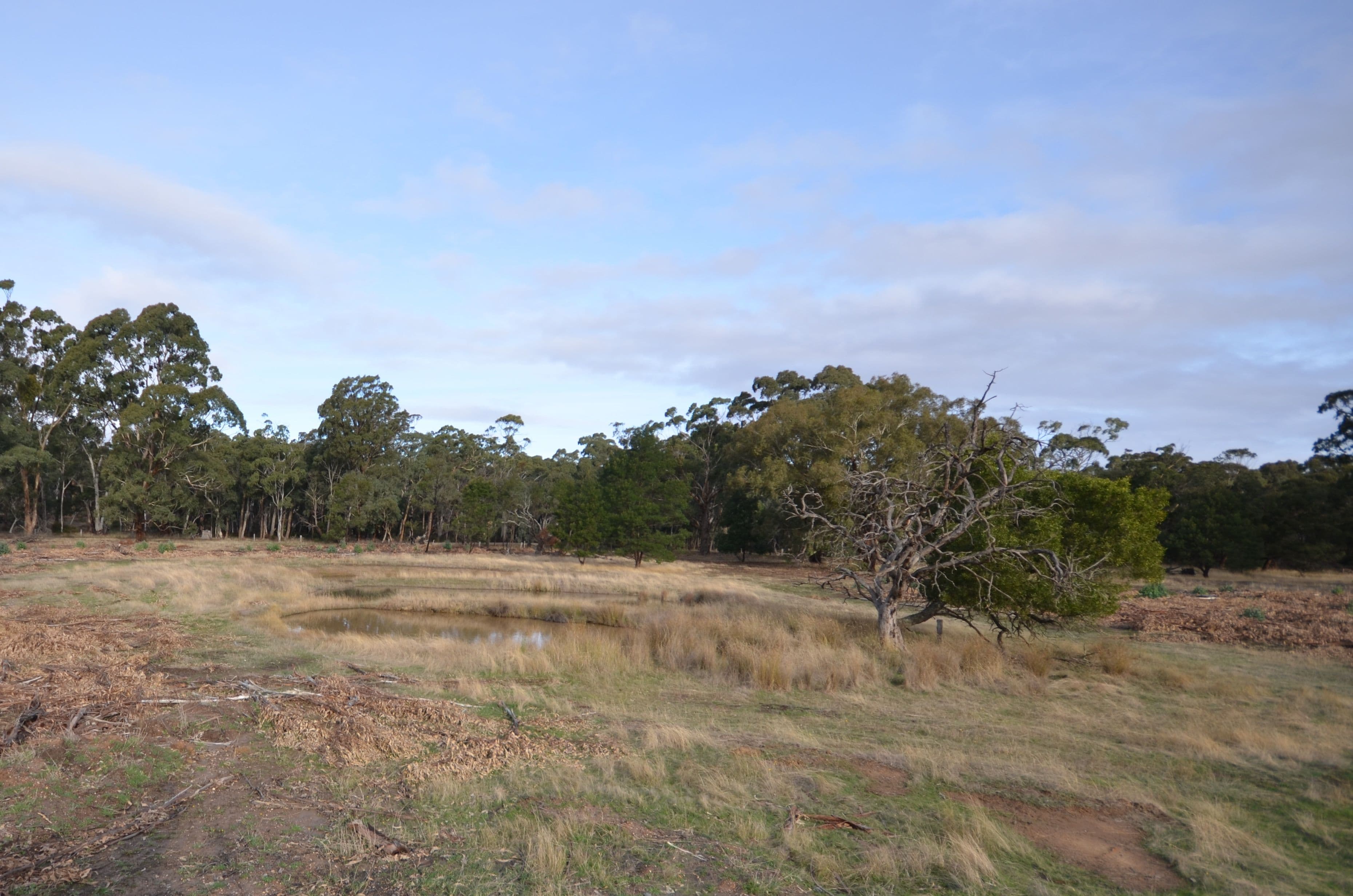 Lot 1/"Lewis" Colonial Road, BUANGOR  Victoria  3375, Australia, Buangor - Thumbnail 4