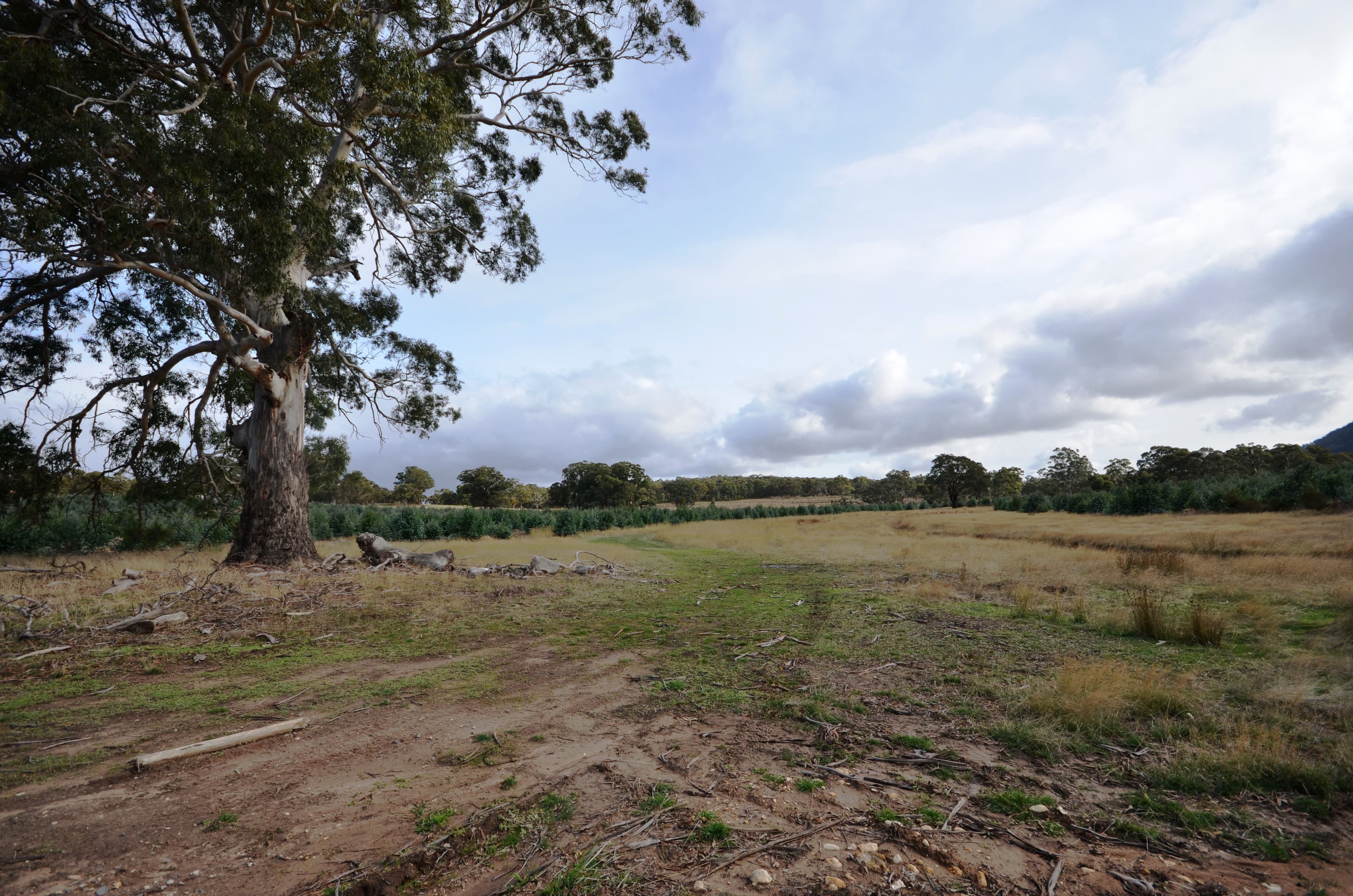 Lot 2/"Lewis" Buangor - Ben Nevis Road, BUANGOR  Victoria  3375, Australia, Buangor - Thumbnail 5
