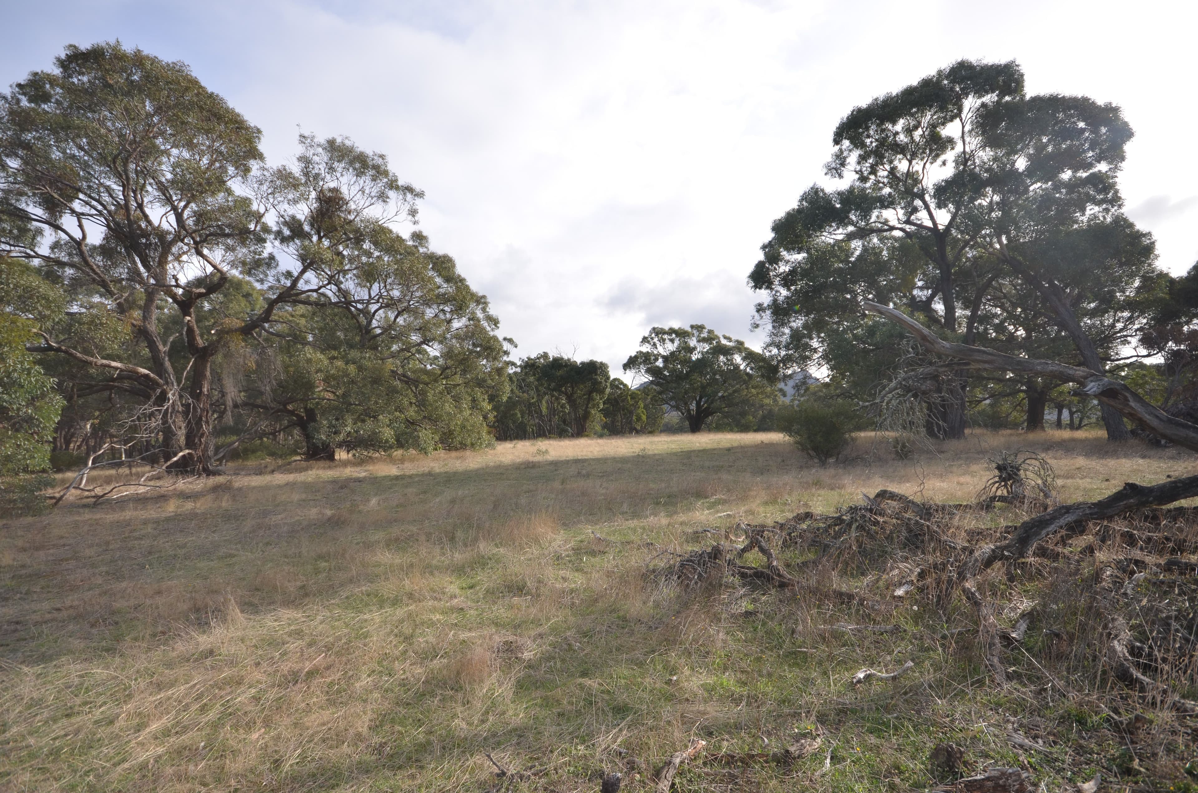 Lot 2/"Lewis" Buangor - Ben Nevis Road, BUANGOR  Victoria  3375, Australia, Buangor - Thumbnail 7