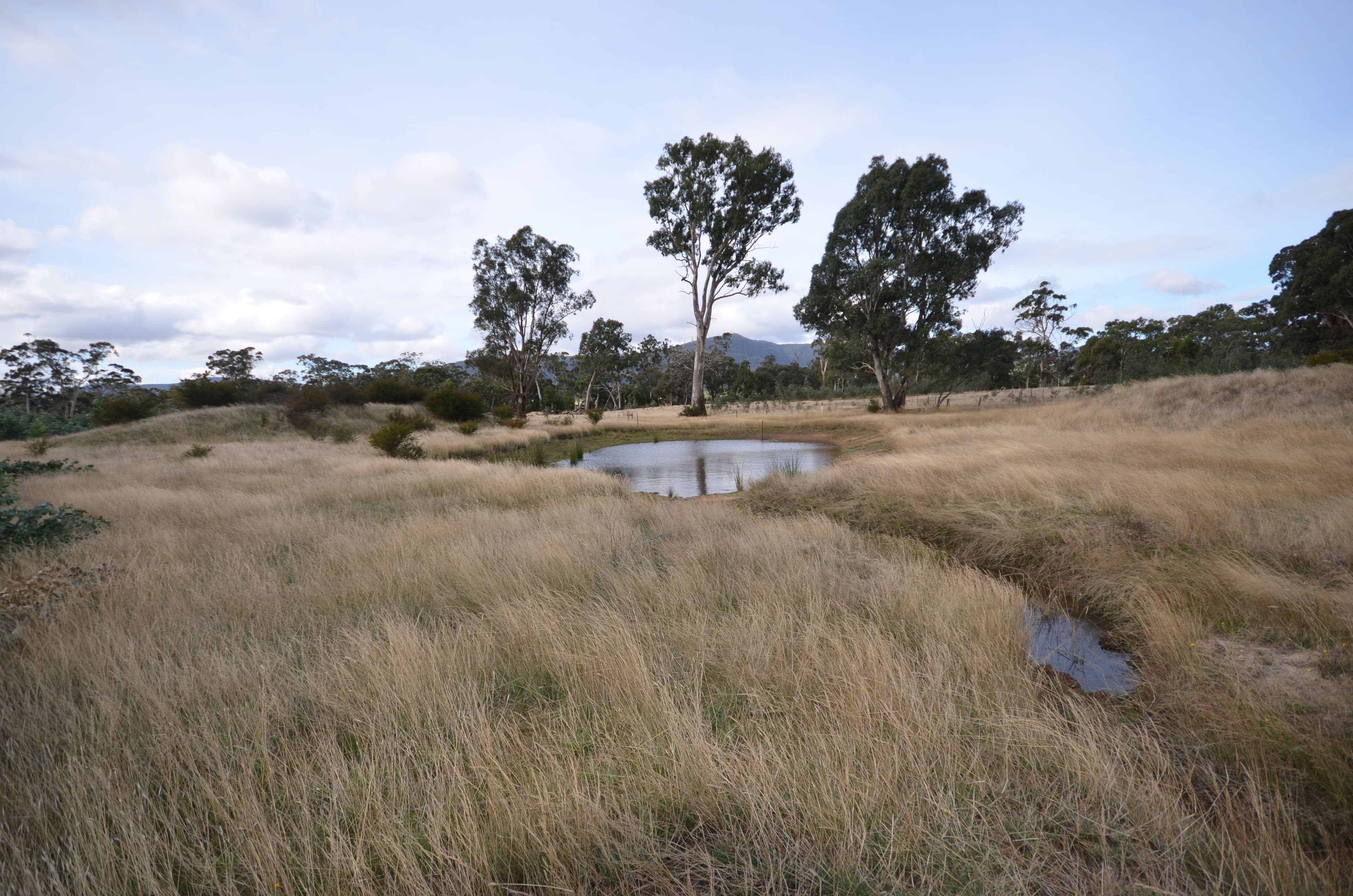 Lot 2/"Lewis" Buangor - Ben Nevis Road, BUANGOR  Victoria  3375, Australia, Buangor - Thumbnail 2