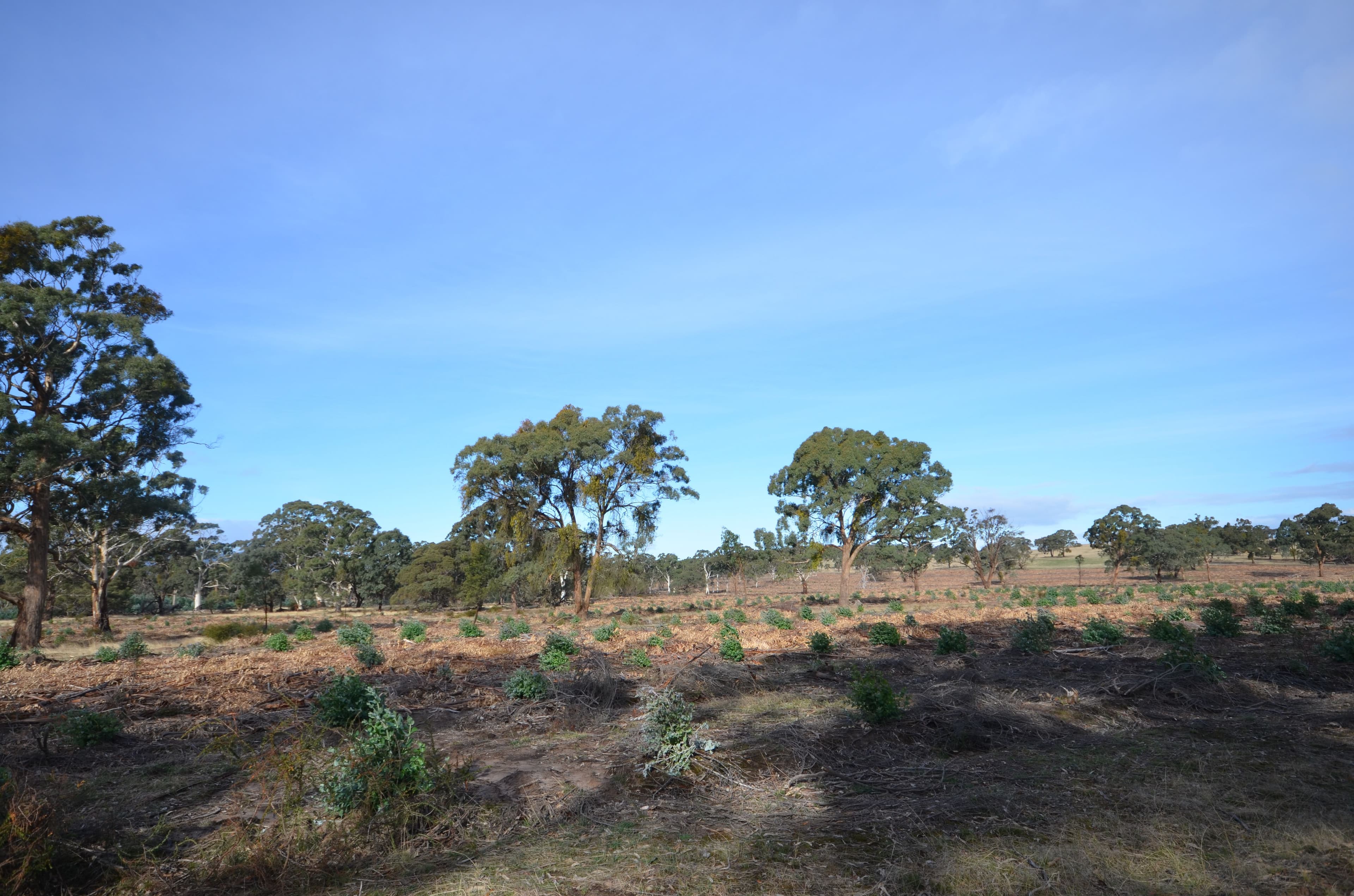 Lot 2/"Lewis" Buangor - Ben Nevis Road, BUANGOR  Victoria  3375, Australia, Buangor - Thumbnail 3