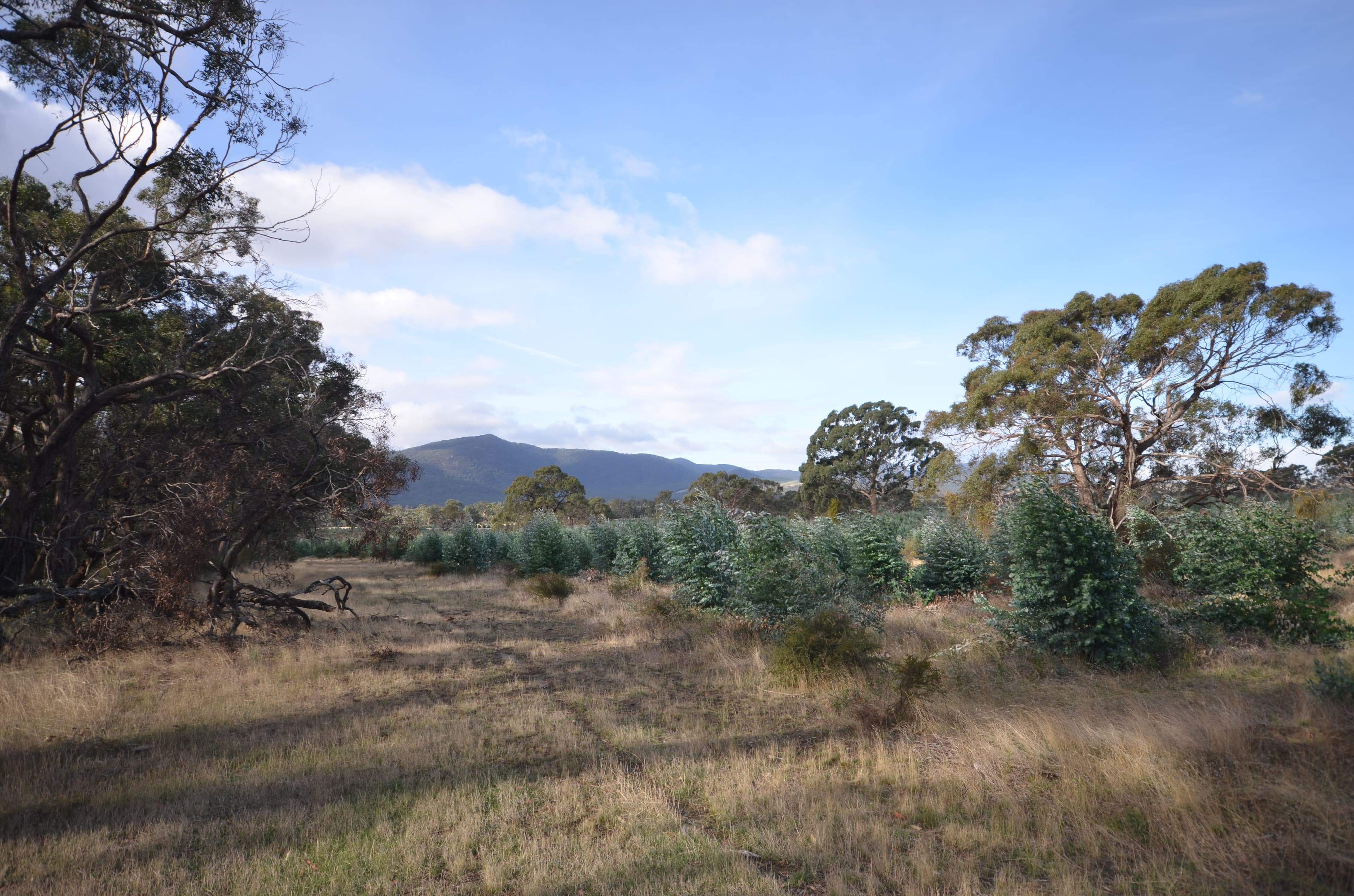 Lot 2/"Lewis" Buangor - Ben Nevis Road, BUANGOR  Victoria  3375, Australia, Buangor - Thumbnail 6
