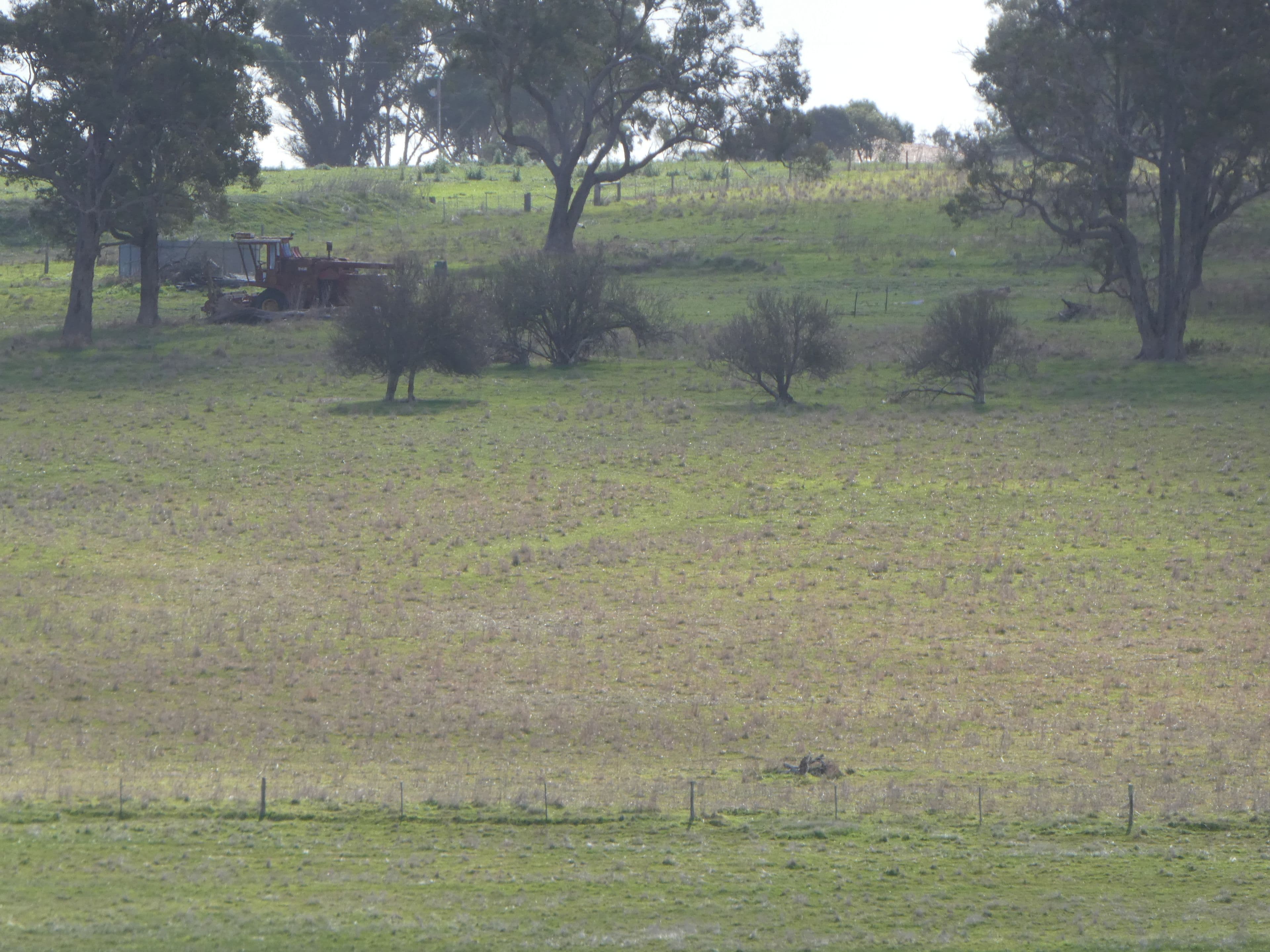 Lot 300 Scott Road, Mount Barker WA 6324, Mount Barker - Thumbnail 3
