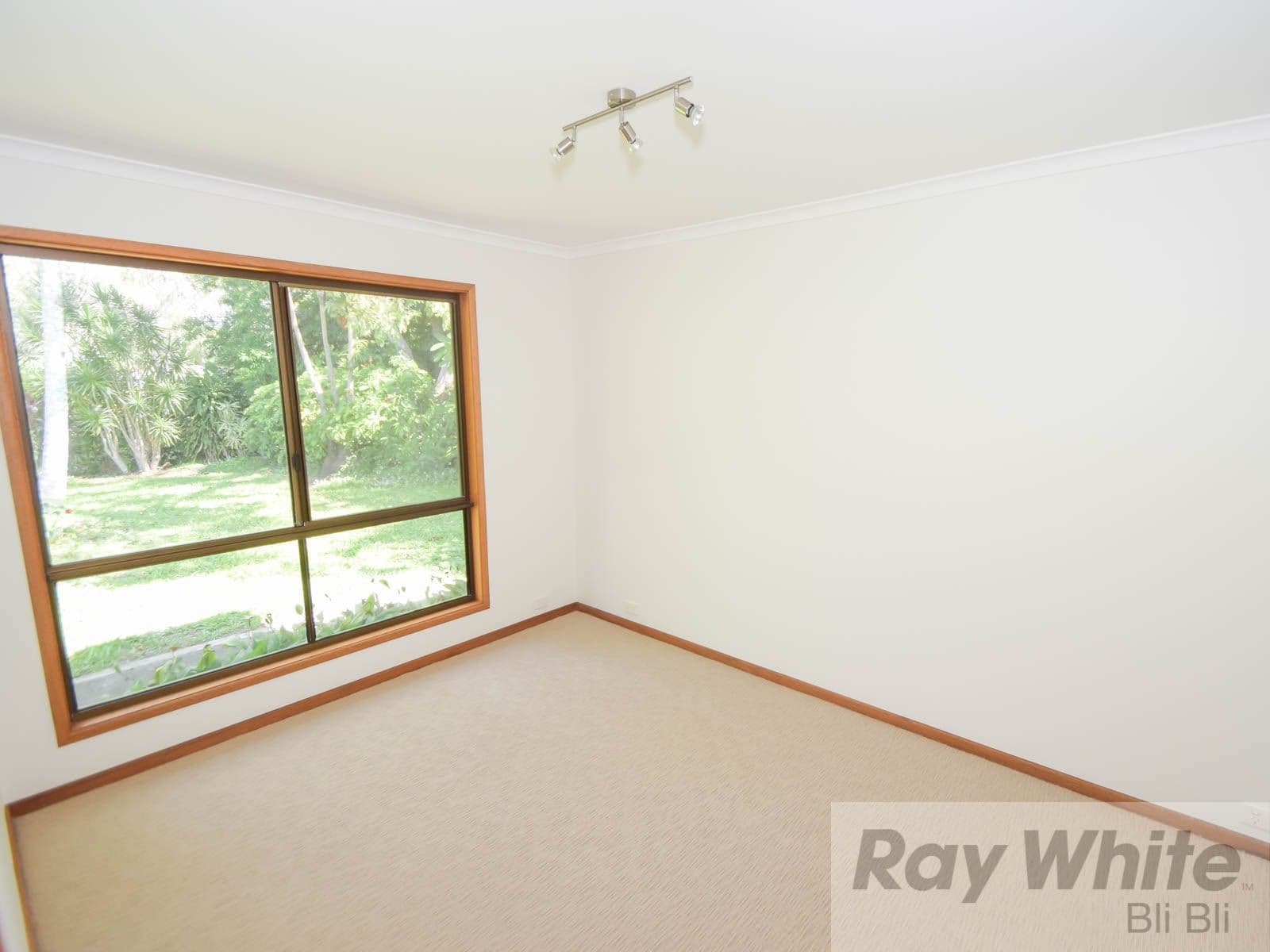 655 David Low Way, Pacific Paradise QLD 4564, Pacific Paradise - Thumbnail 5