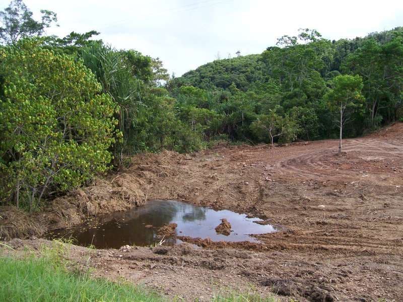Lot 73 Bruce Highway, Cowley QLD 4871, Cowley - Thumbnail 7