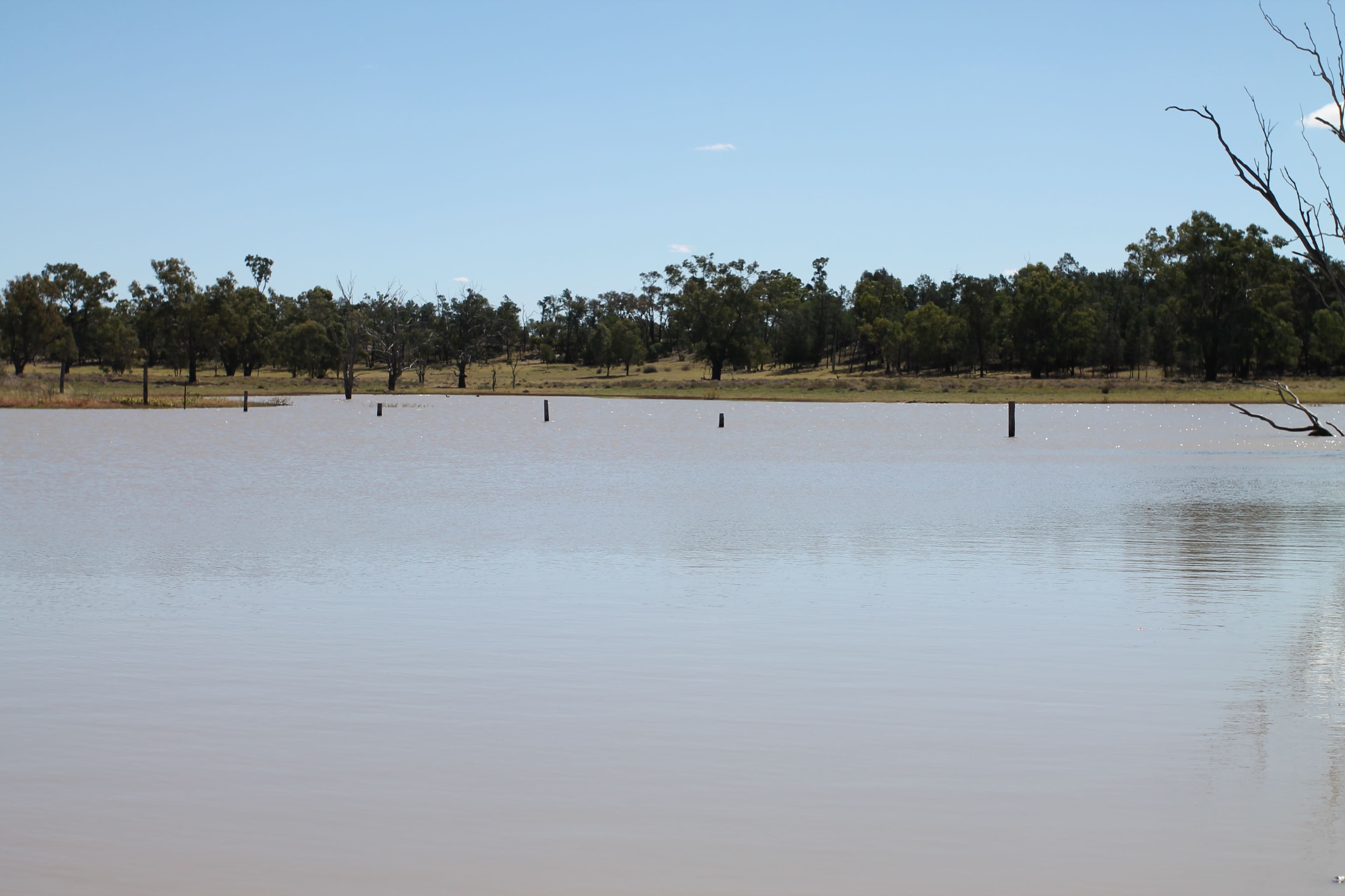 3054 Kyilla Road, Glenmorgan QLD 4423, Glenmorgan - Thumbnail 4