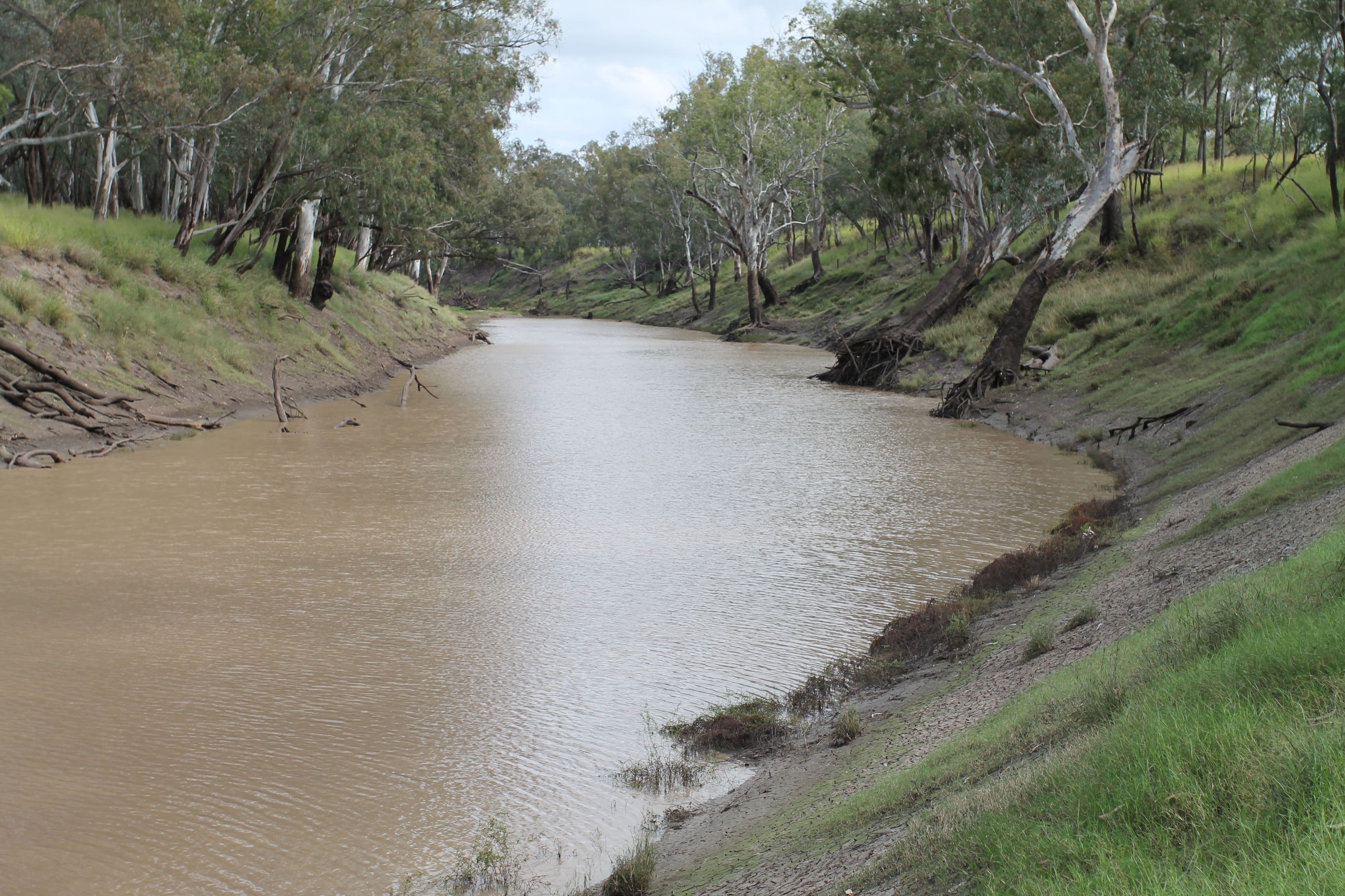3054 Kyilla Road, Glenmorgan QLD 4423, Glenmorgan - Thumbnail 2