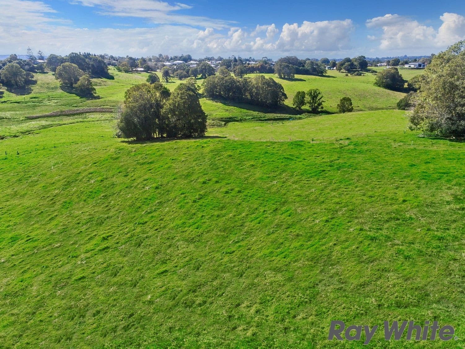12 Dixon Avenue, Maleny QLD 4552, Maleny - Thumbnail 4