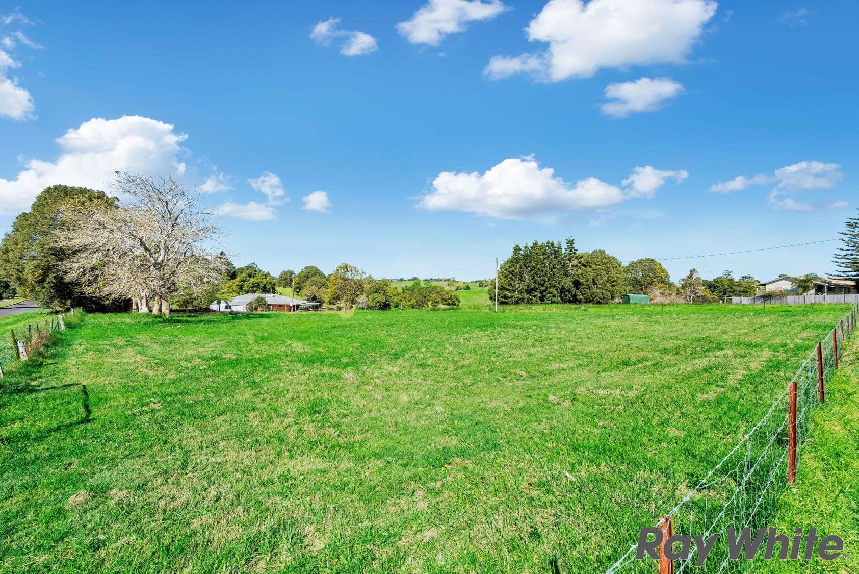 12 Dixon Avenue, Maleny QLD 4552, Maleny - Thumbnail 7