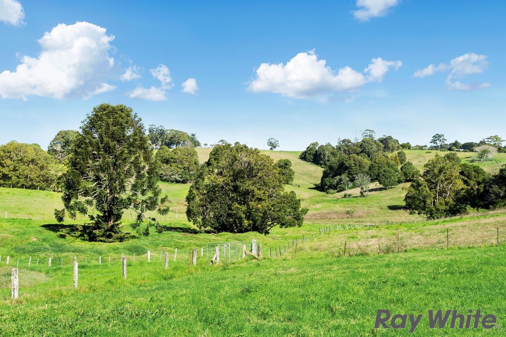 12 Dixon Avenue, Maleny QLD 4552, Maleny - Thumbnail 6