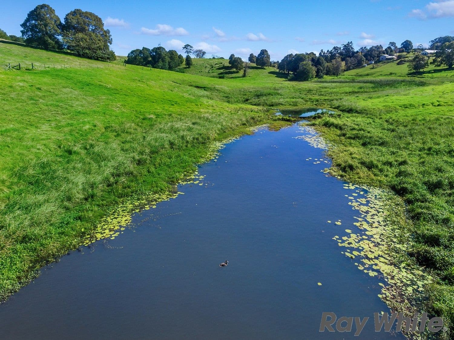 12 Dixon Avenue, Maleny QLD 4552, Maleny - Thumbnail 5