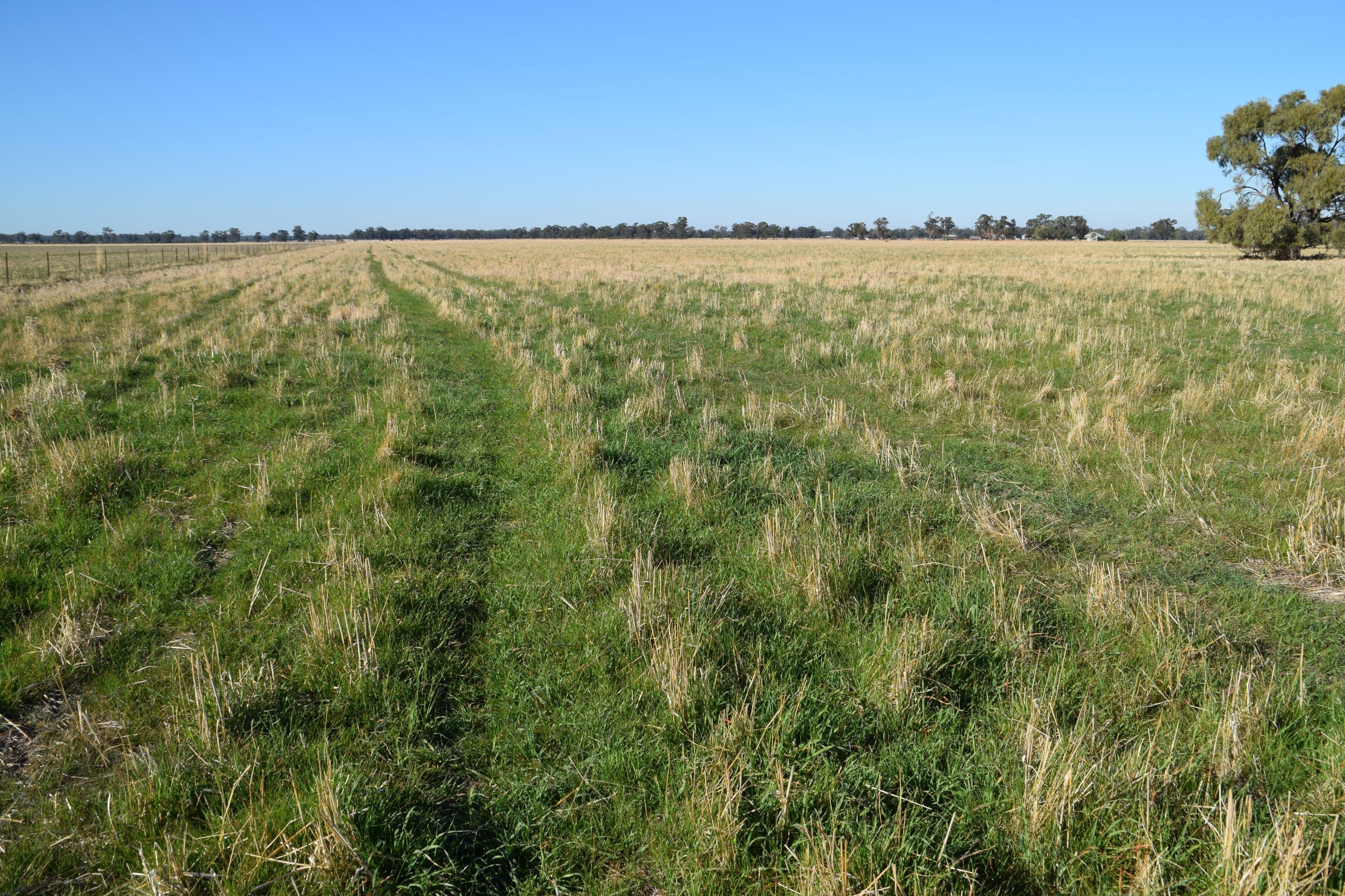 'Gilway' Balladoran Road, GILGANDRA NSW 2827, Gilgandra - Thumbnail 6