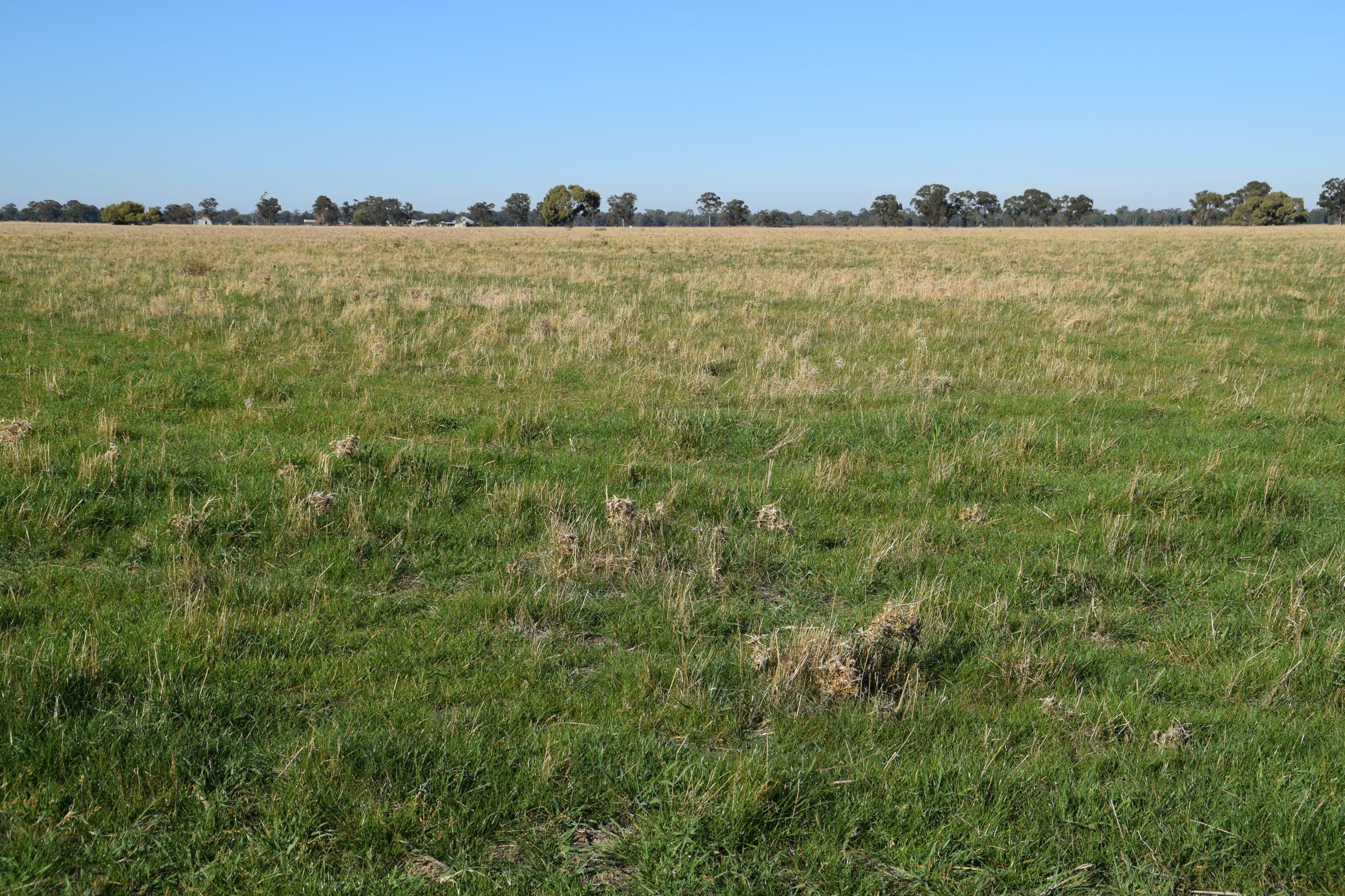 'Gilway' Balladoran Road, GILGANDRA NSW 2827, Gilgandra - Thumbnail 5