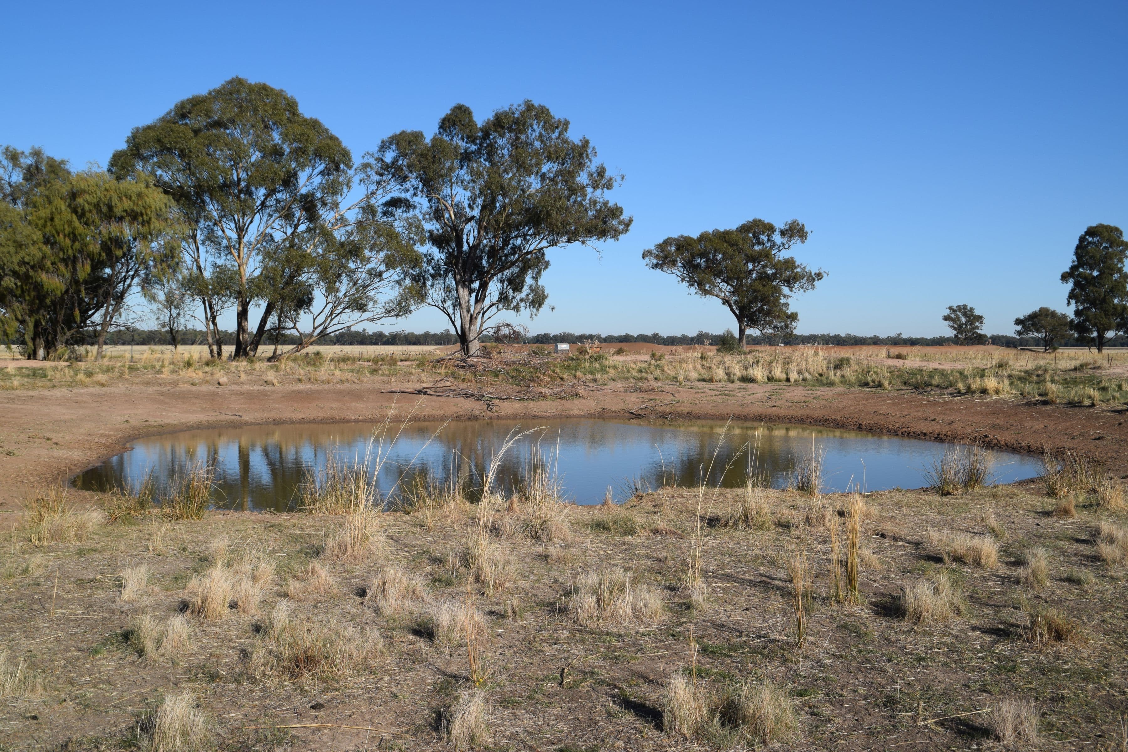 'Gilway' Balladoran Road, GILGANDRA NSW 2827, Gilgandra - Thumbnail 2