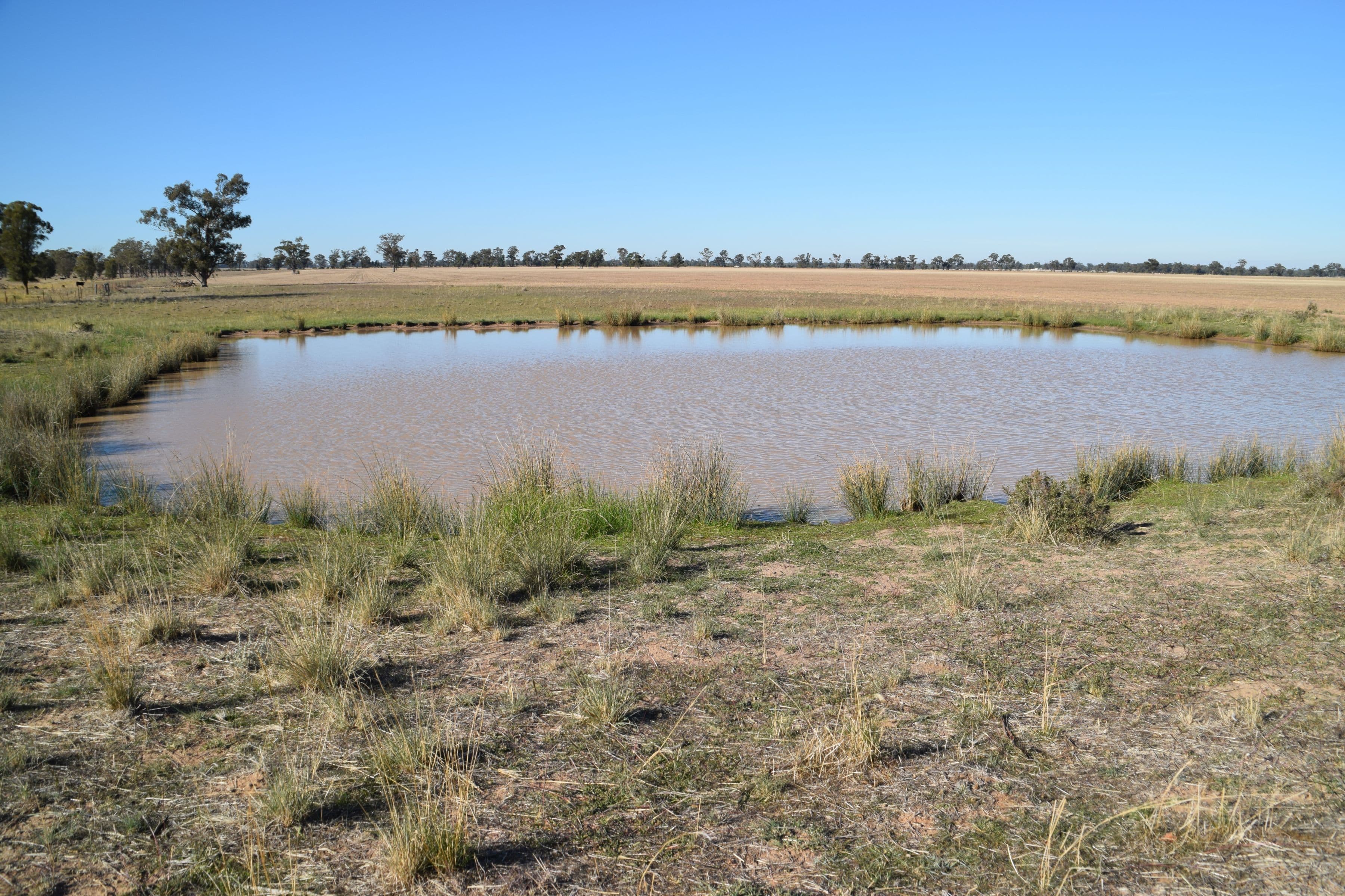 'Gilway' Balladoran Road, GILGANDRA NSW 2827, Gilgandra - Thumbnail 8