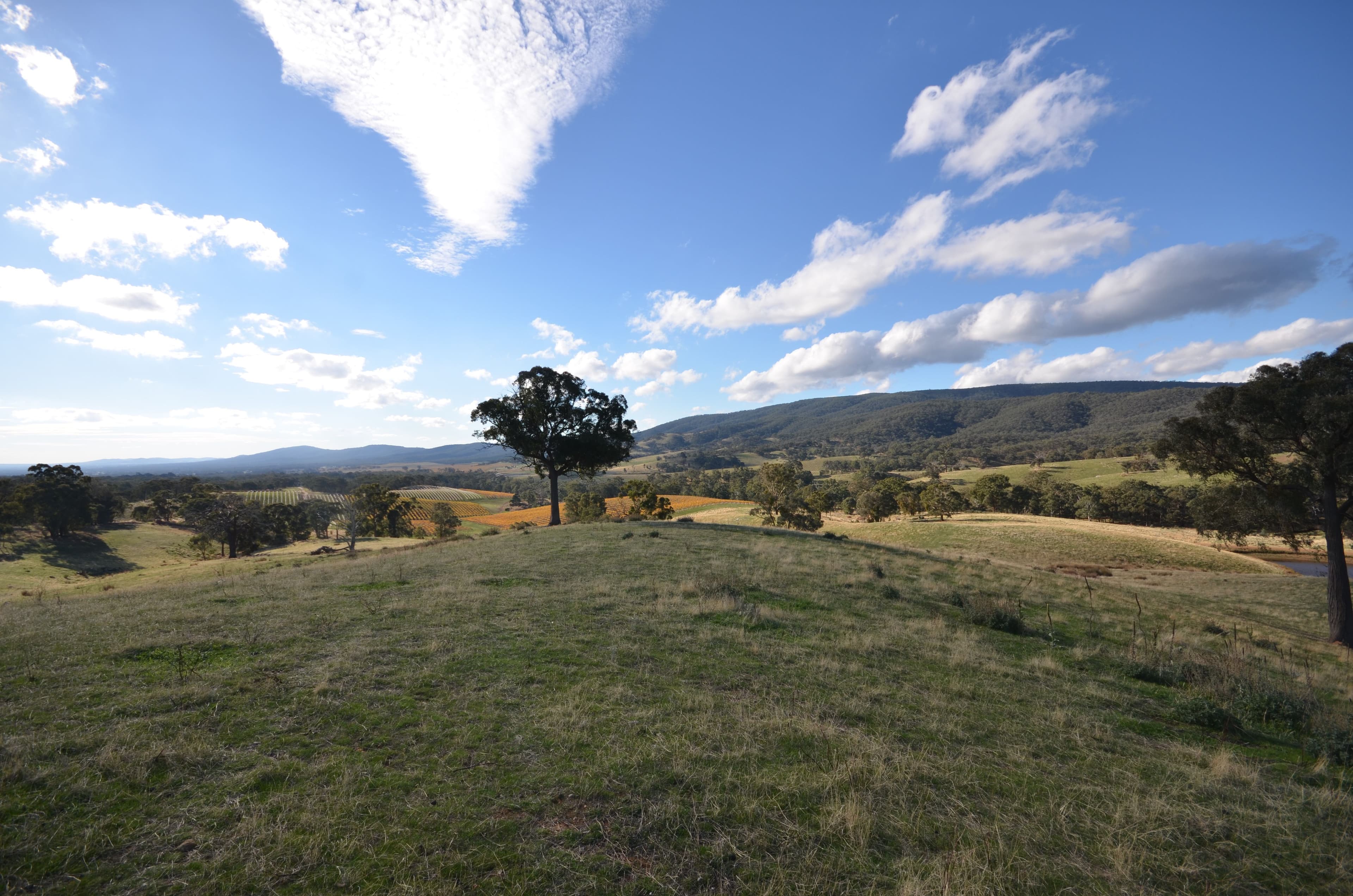 CA 24 +24B Landsborough-Elmhurst Road, LANDSBOROUGH VIC 3384, Landsborough - Thumbnail 4