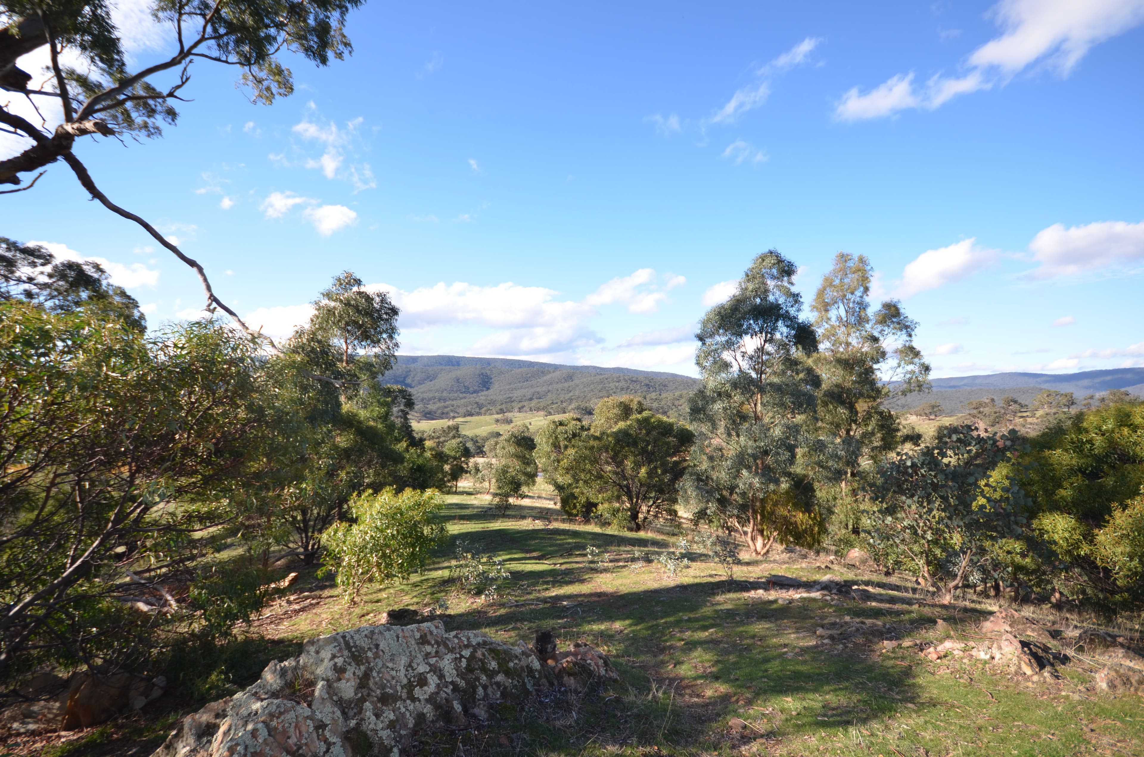 CA 24 +24B Landsborough-Elmhurst Road, LANDSBOROUGH VIC 3384, Landsborough - Thumbnail 6